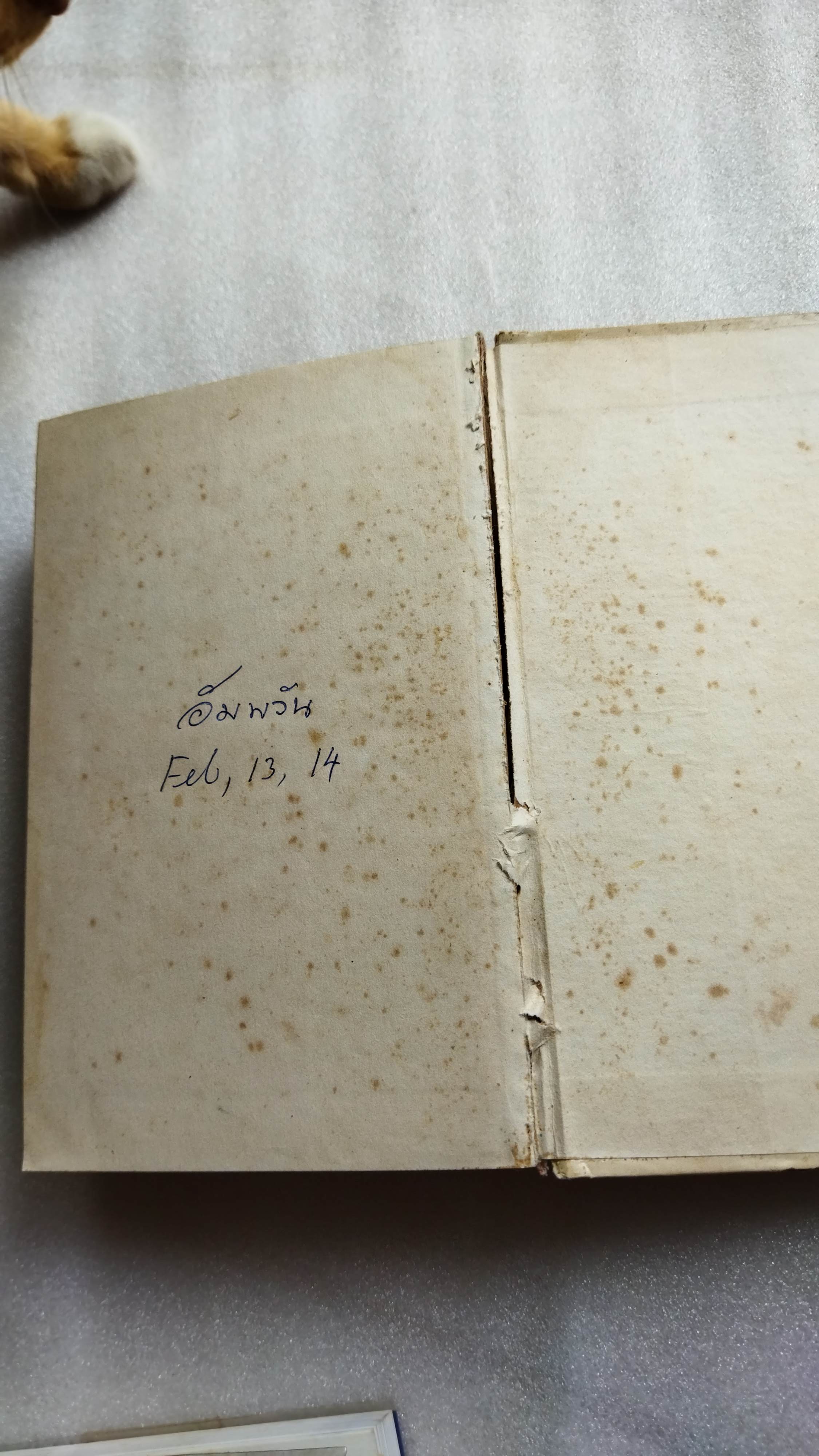 โรงเรียนในทุ่งกว้าง Prairie School / Lois Lenski / แม้นมาส ชวลิต แปล *ตำหนิ