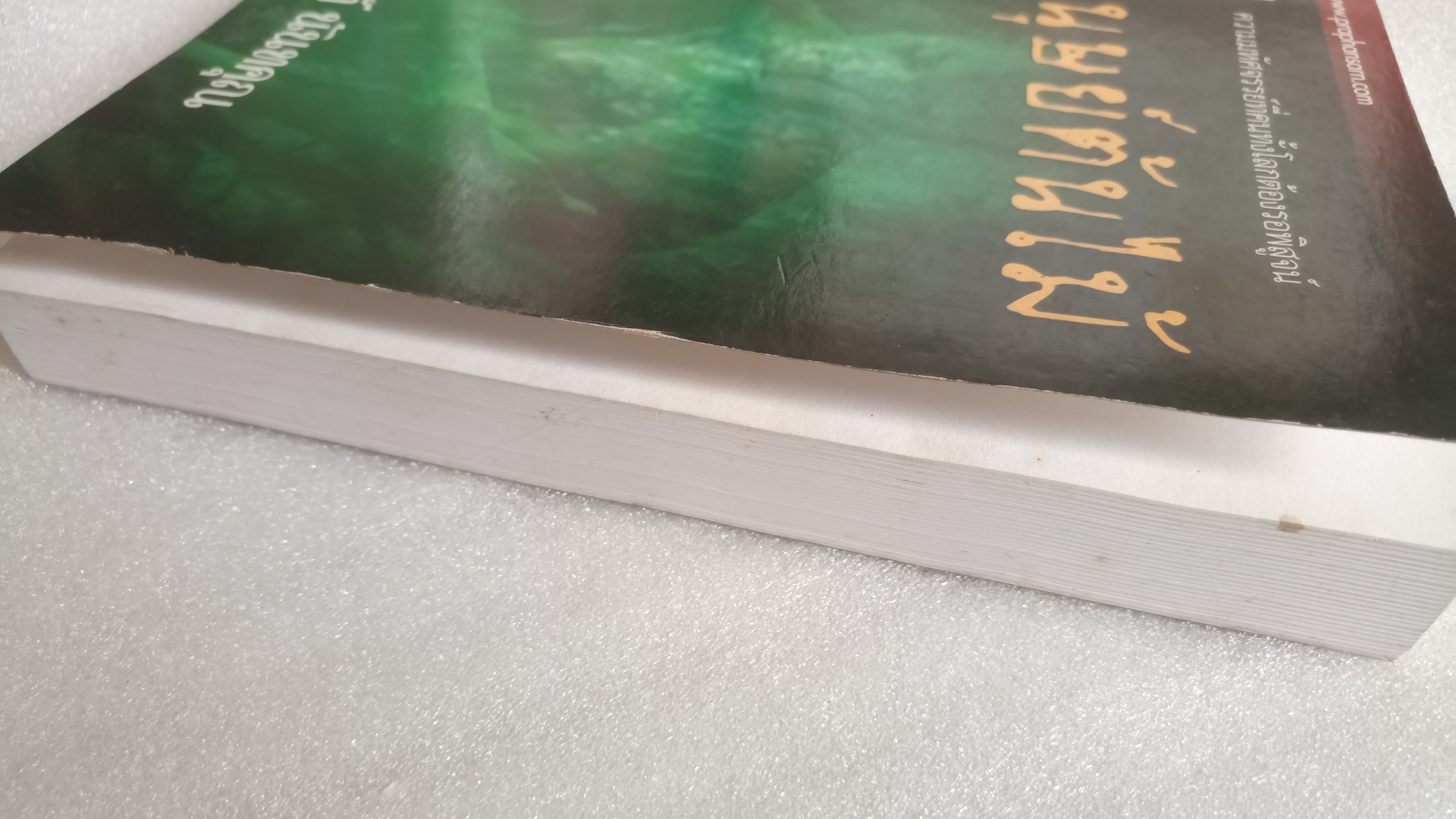 มนุษย์ต้นไม้ / นันท์ นันทคุณ