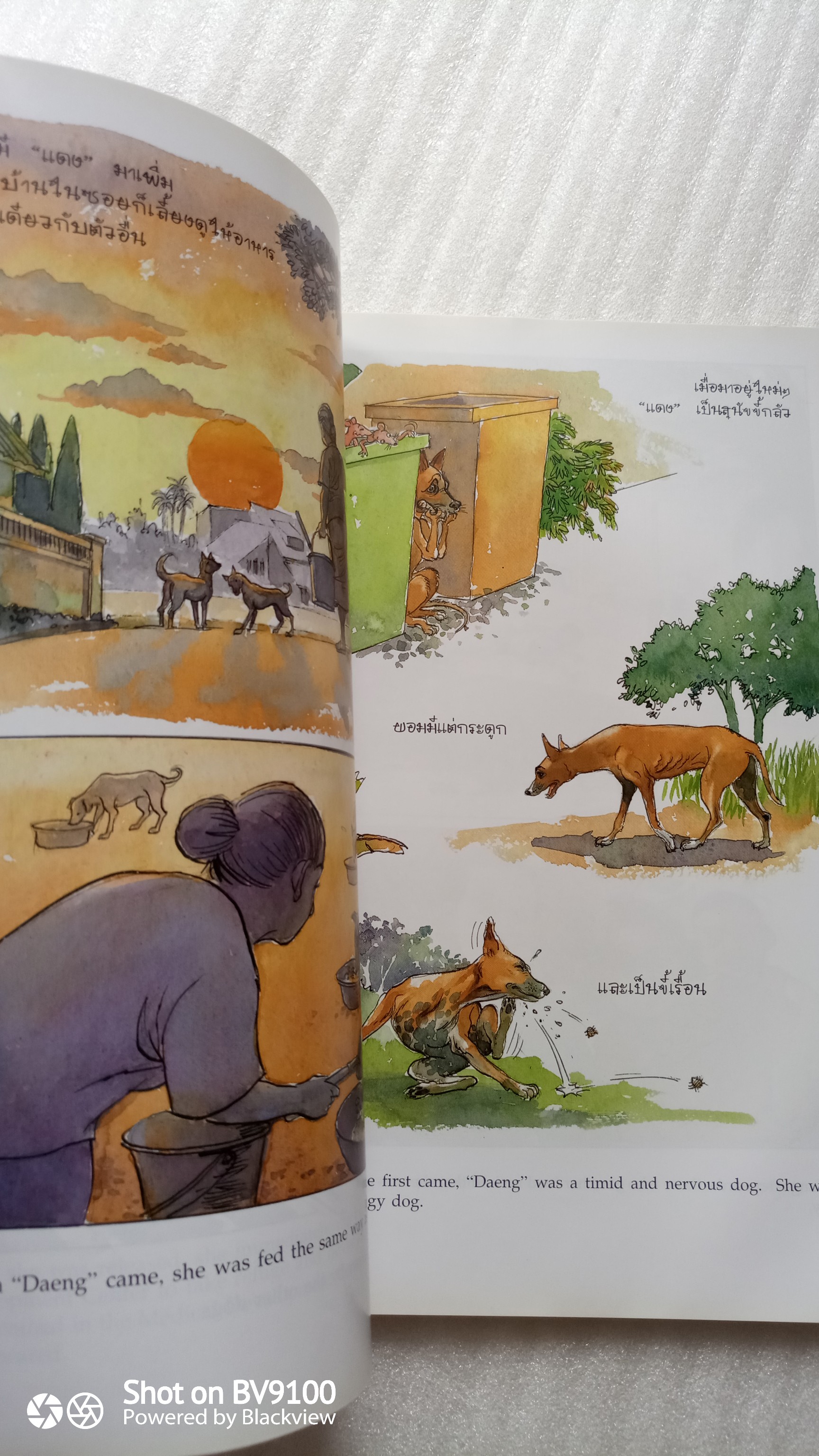 เรื่องทองแดง 2 เล่ม ปกอ่อน + ปกแข็ง