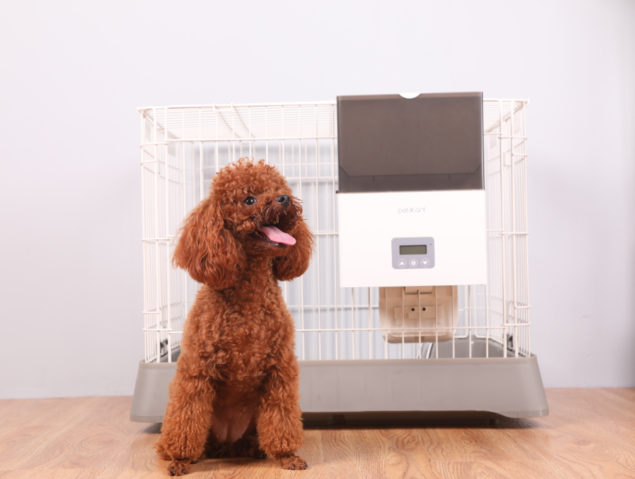 เครื่องให้อาหารแมวอัตโนมัติแบบติดข้างกรง PETWANT F4-LCD