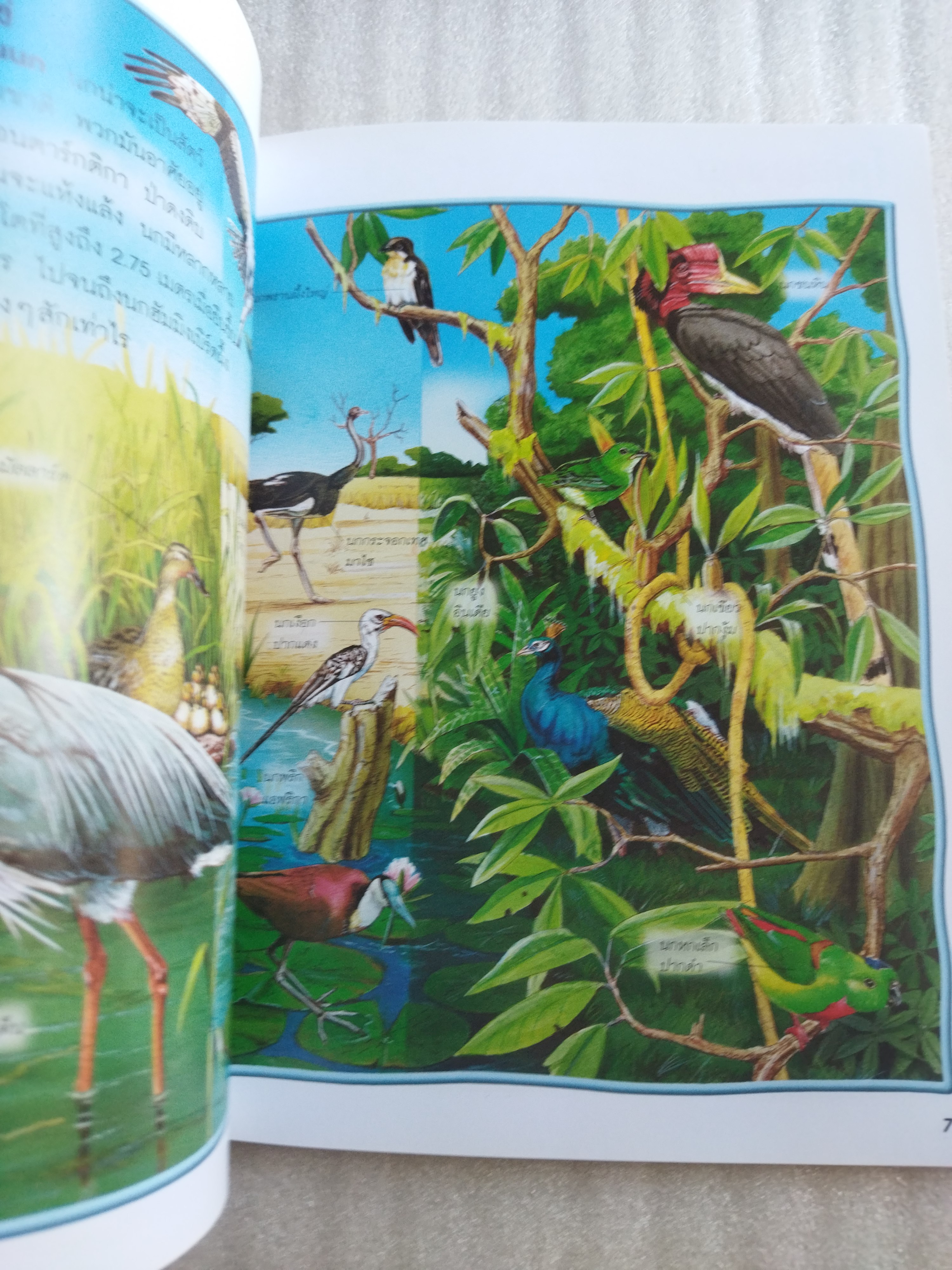 100 เรื่องน่ารู้เกี่ยวกับนก