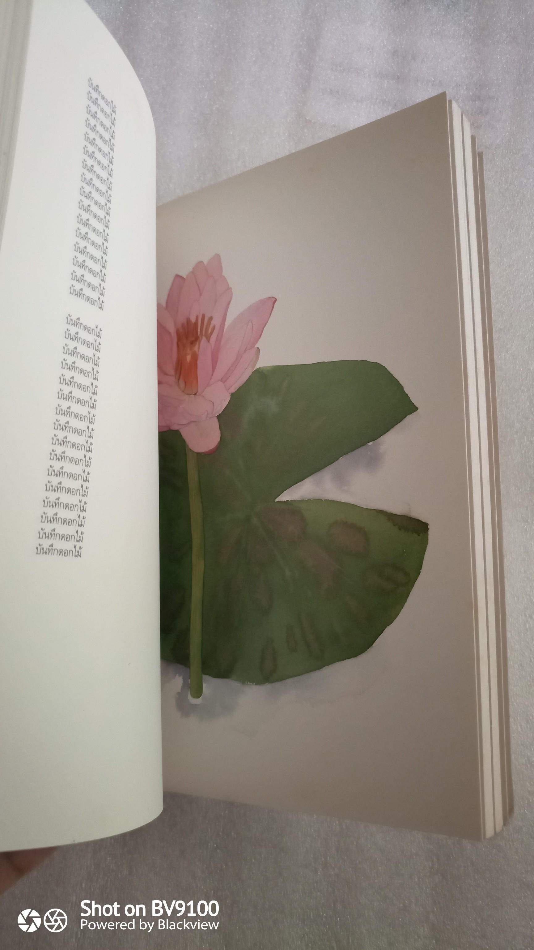 อารมณ์ดอกไม้ / ภาณุ มณีวัฒนกุล