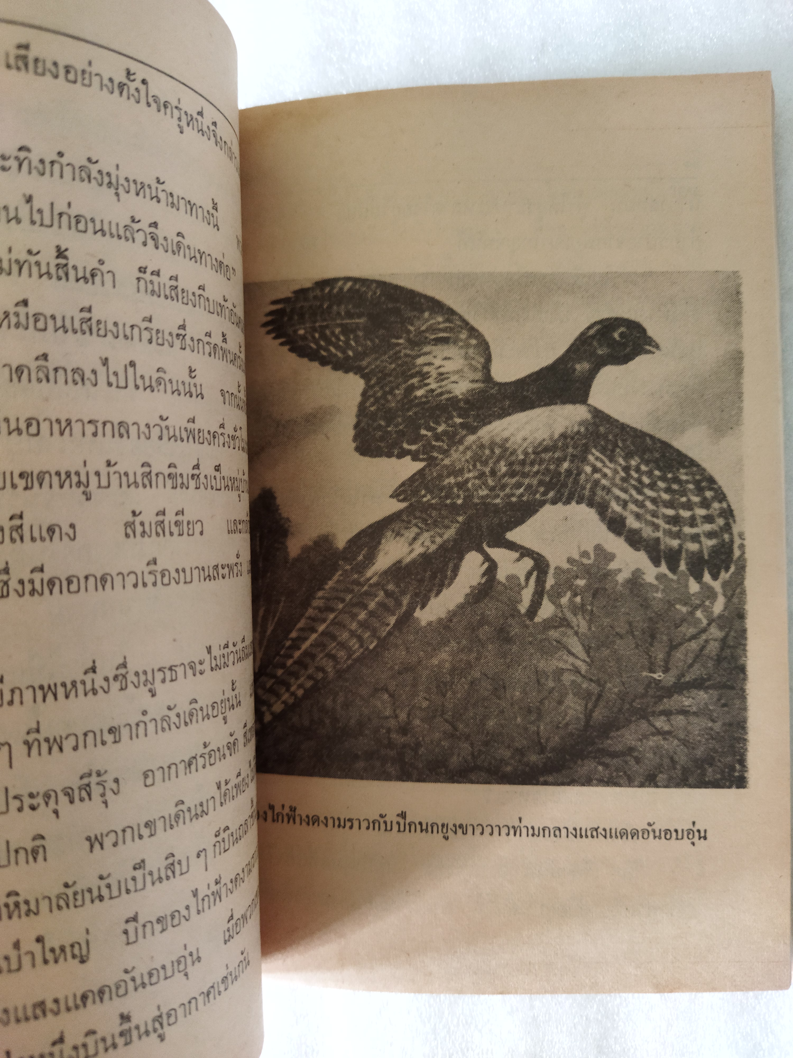 เจ้าสีรุ้ง / จันโกปาล มูเกอจี