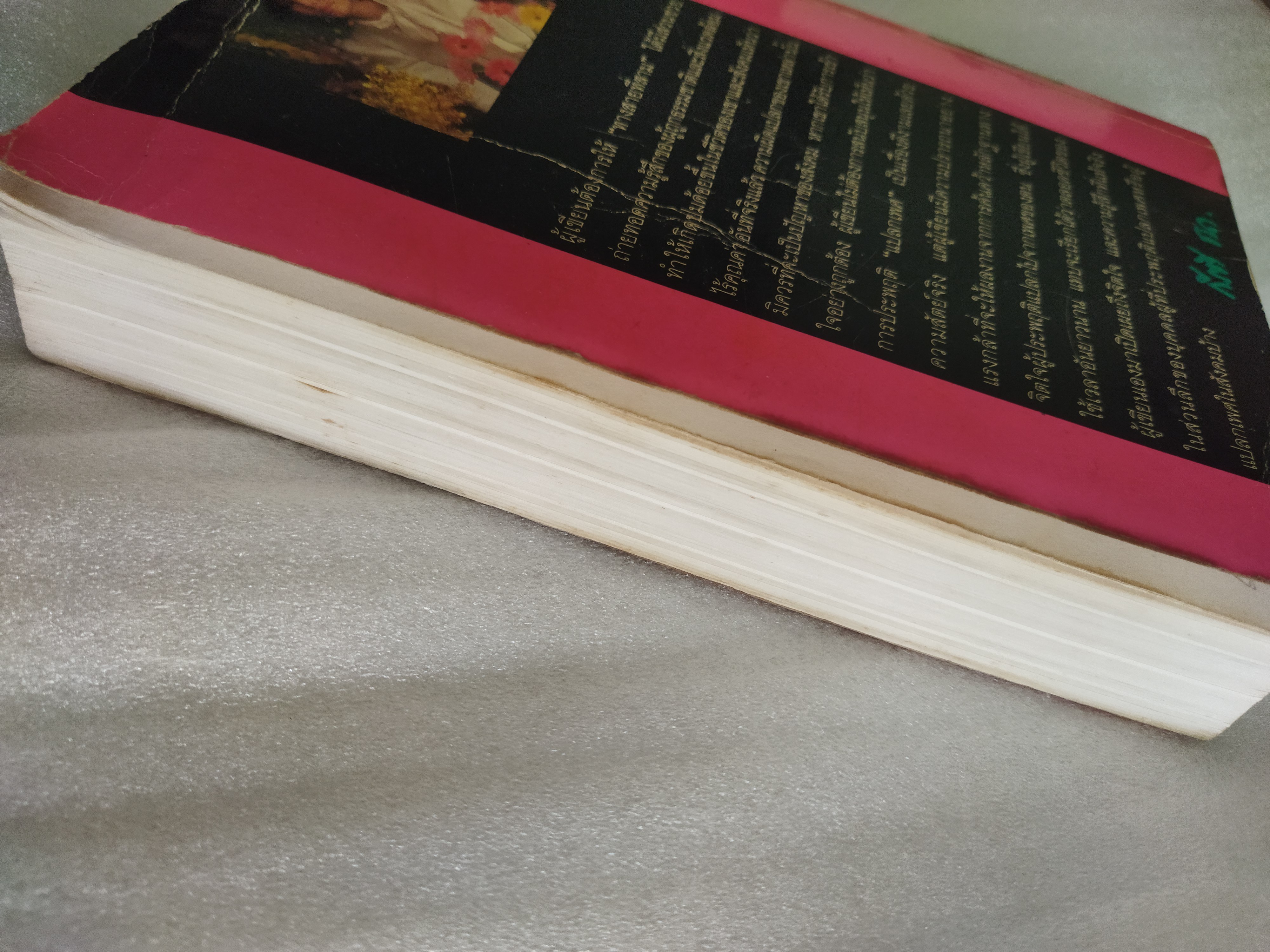 ทางสายที่สาม / กีรตี ชนา