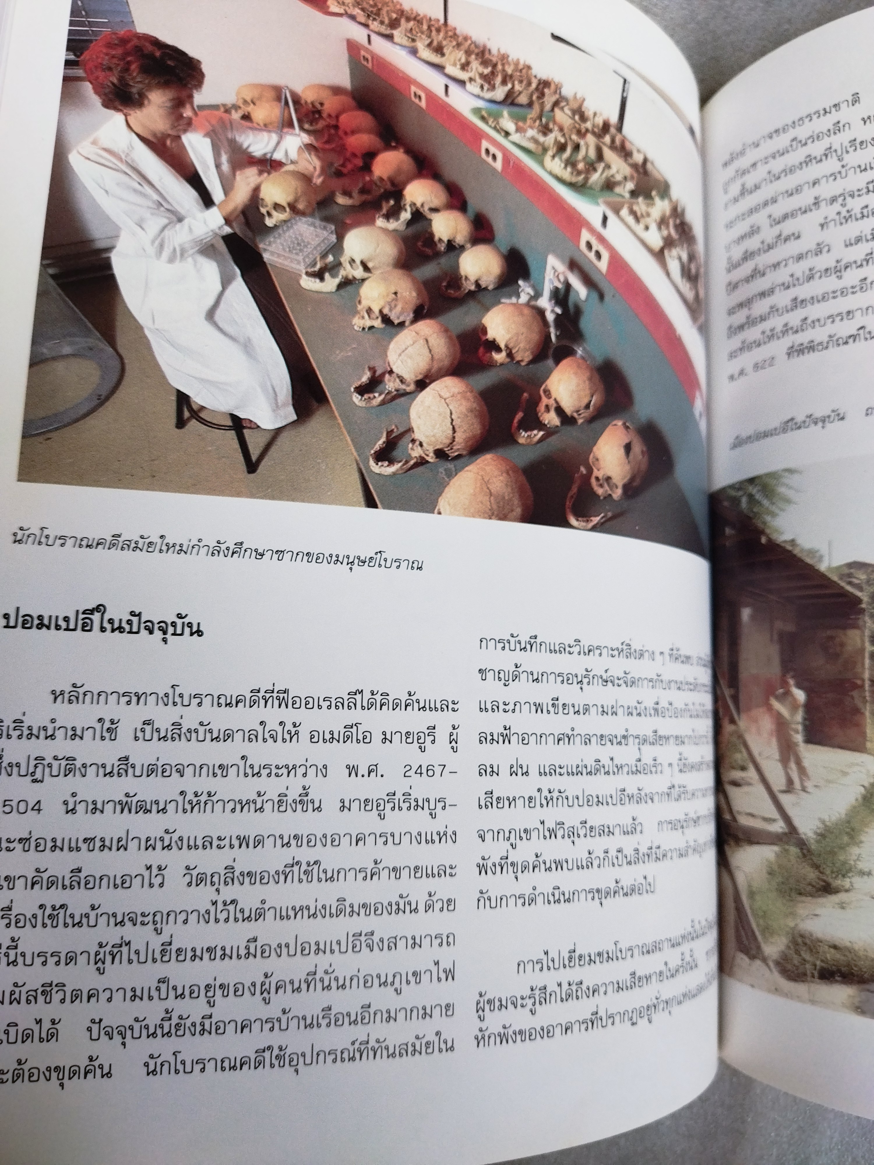 ความหายนะของปอมเปอี