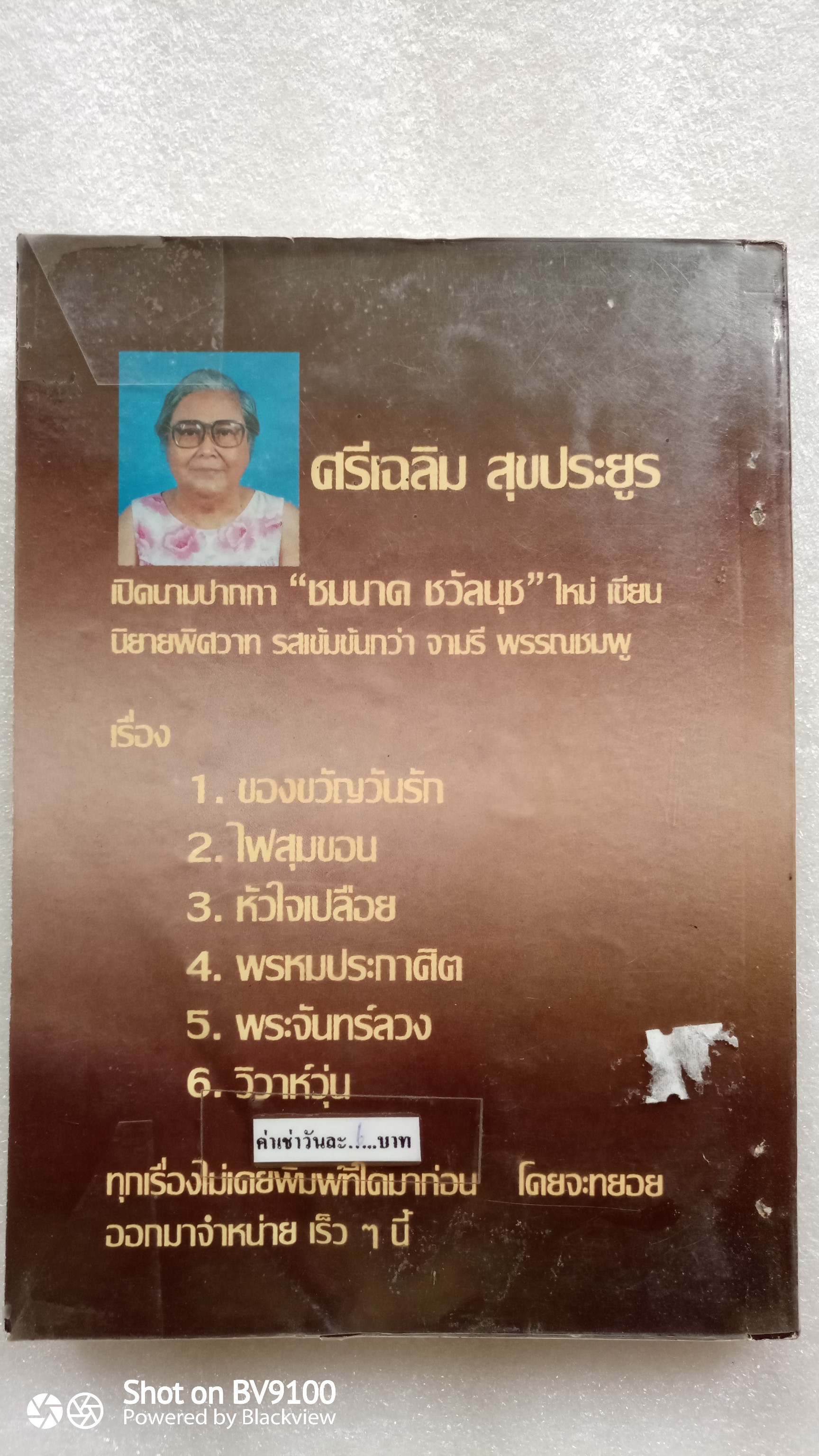 รักไร้พรมแดน / วลัย นวาระ