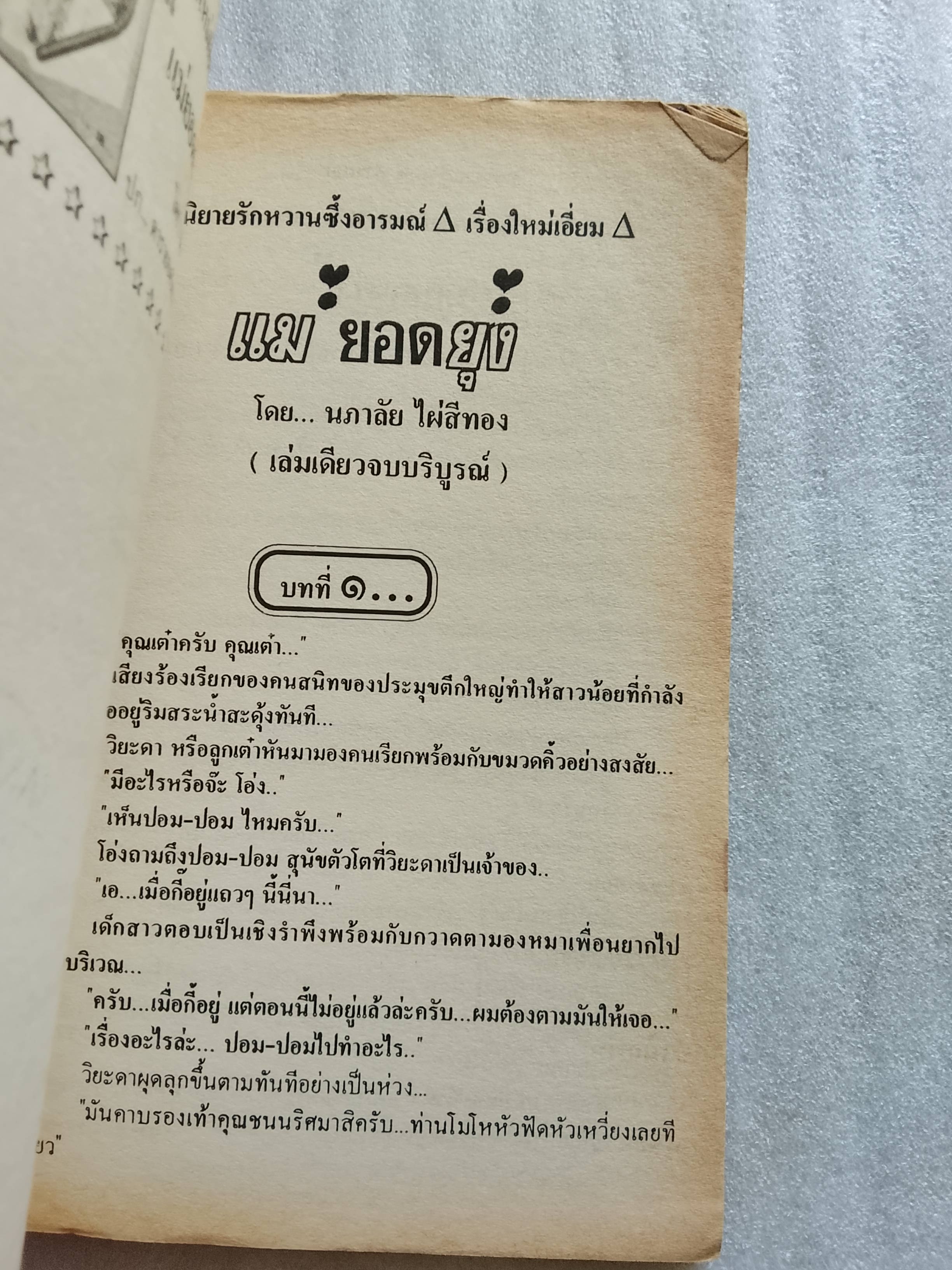 แม่ยอดยุ่ง / นภาลัย ไผ่สีทอง