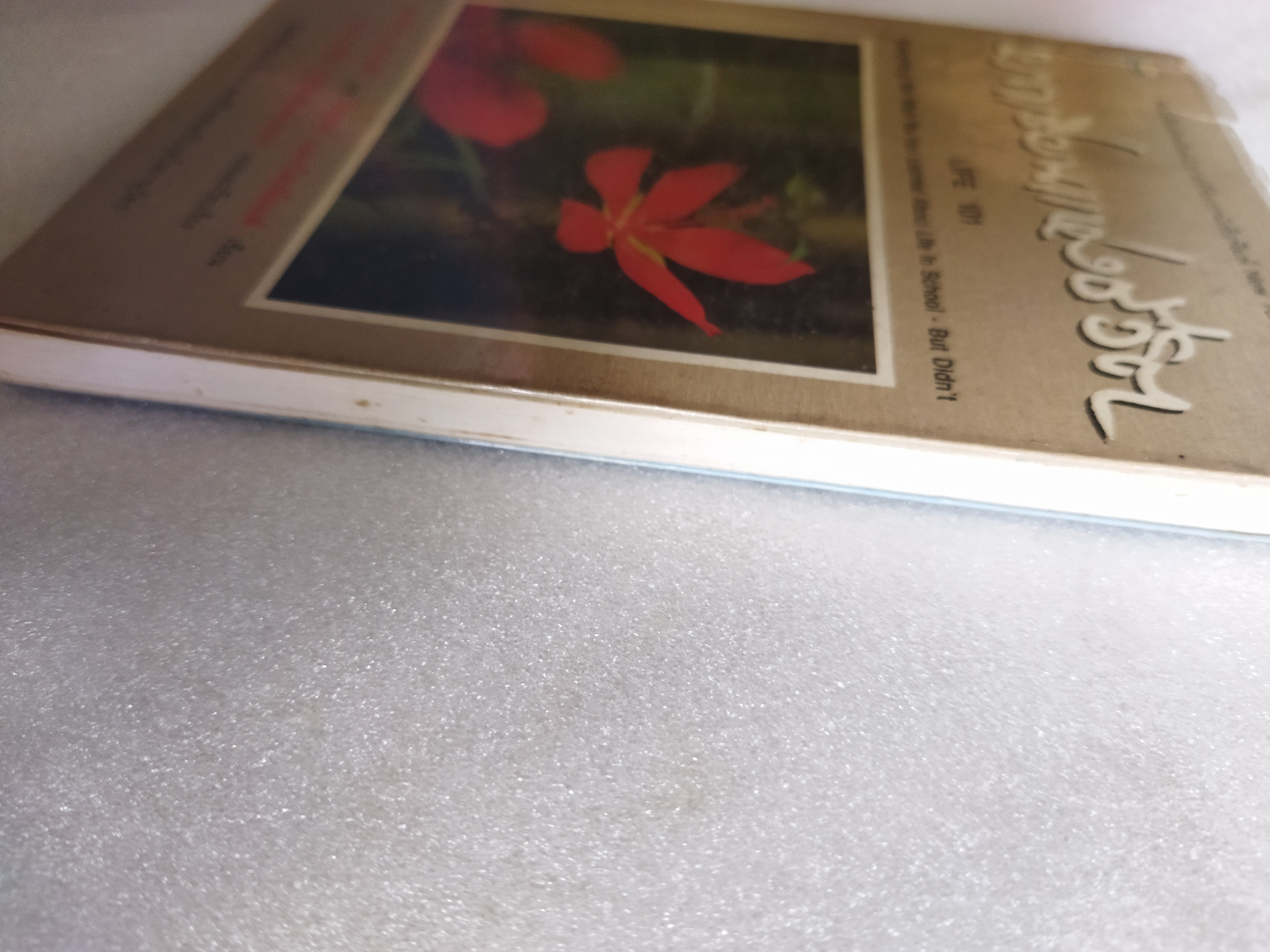 บทเรียนแห่งชีวิต