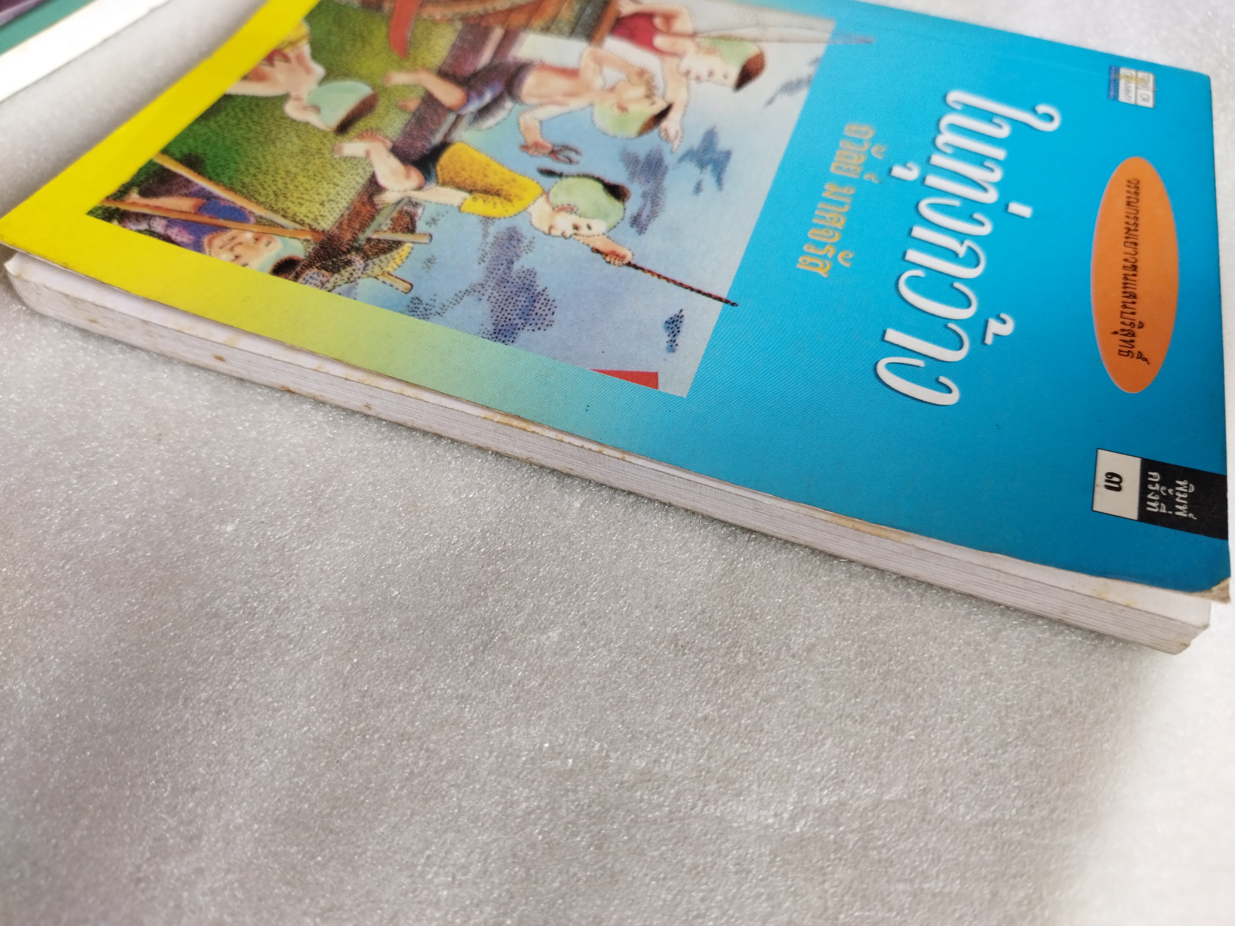 ในทุ่งกว้าง / ถวัลย์ มาศจรัส