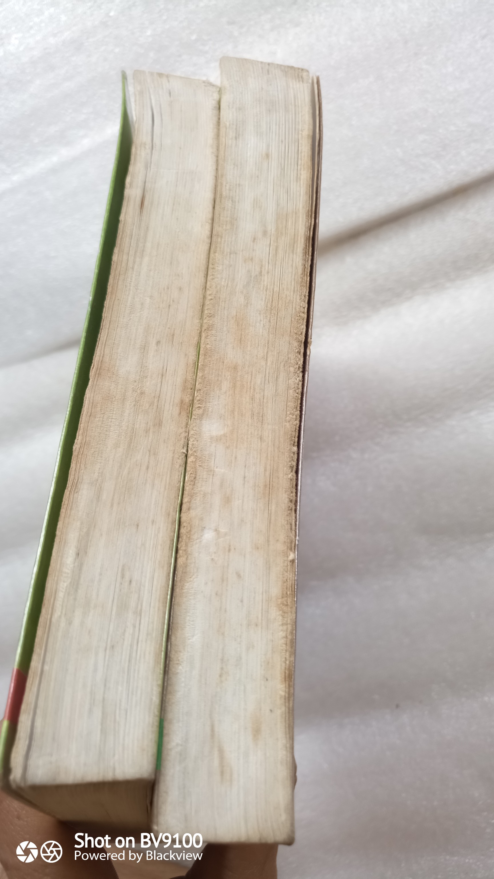 ปฐพีนี้ยังมีรัก 2 เล่มจบ / พัดชา