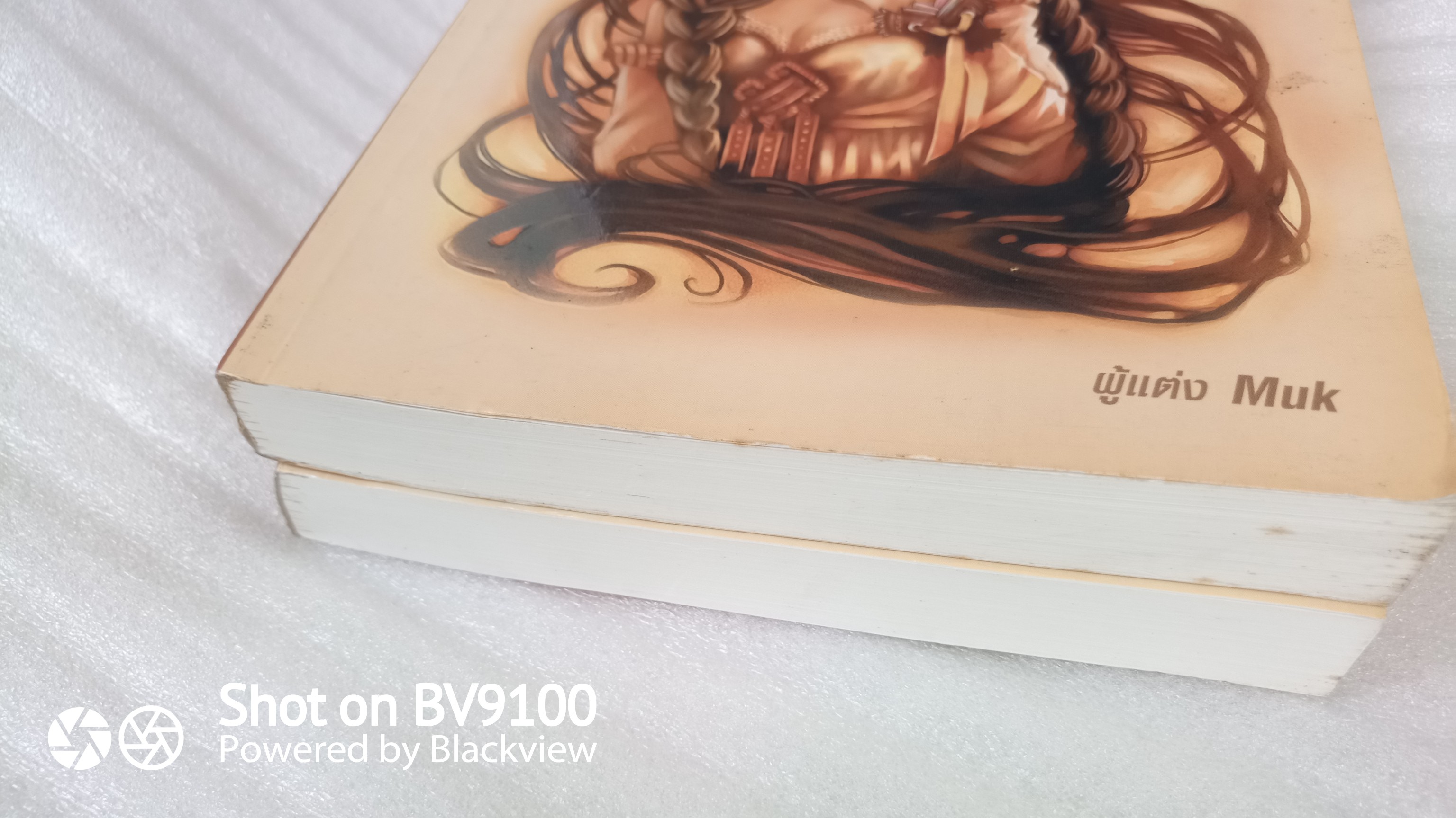 หนังสือ ลิขิตรักต้องคำสาป 2 เล่มจบสมบูรณ์