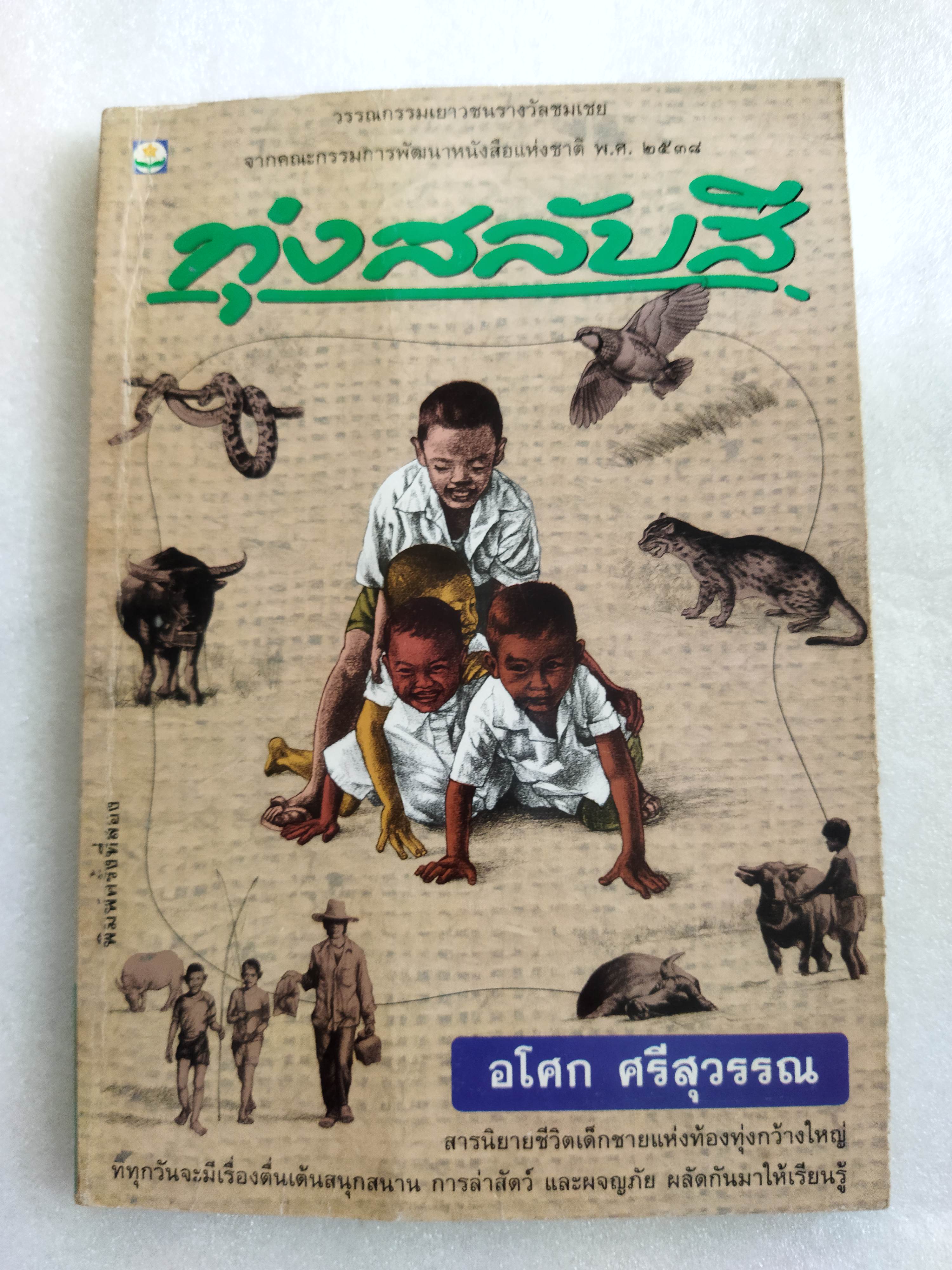 ทุ่งสลับสี / อโศก ศรีสุวรรณ