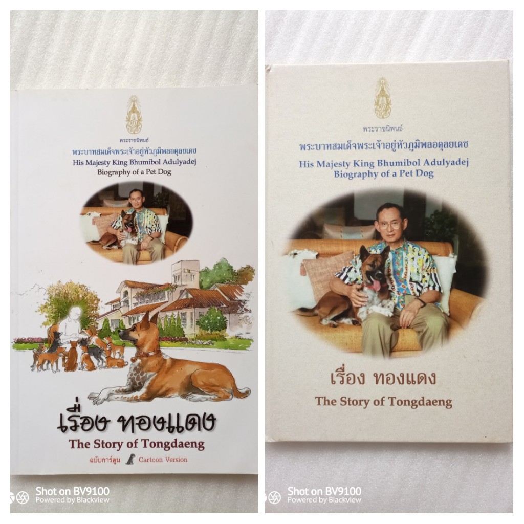 เรื่องทองแดง 2 เล่ม ปกอ่อน + ปกแข็ง