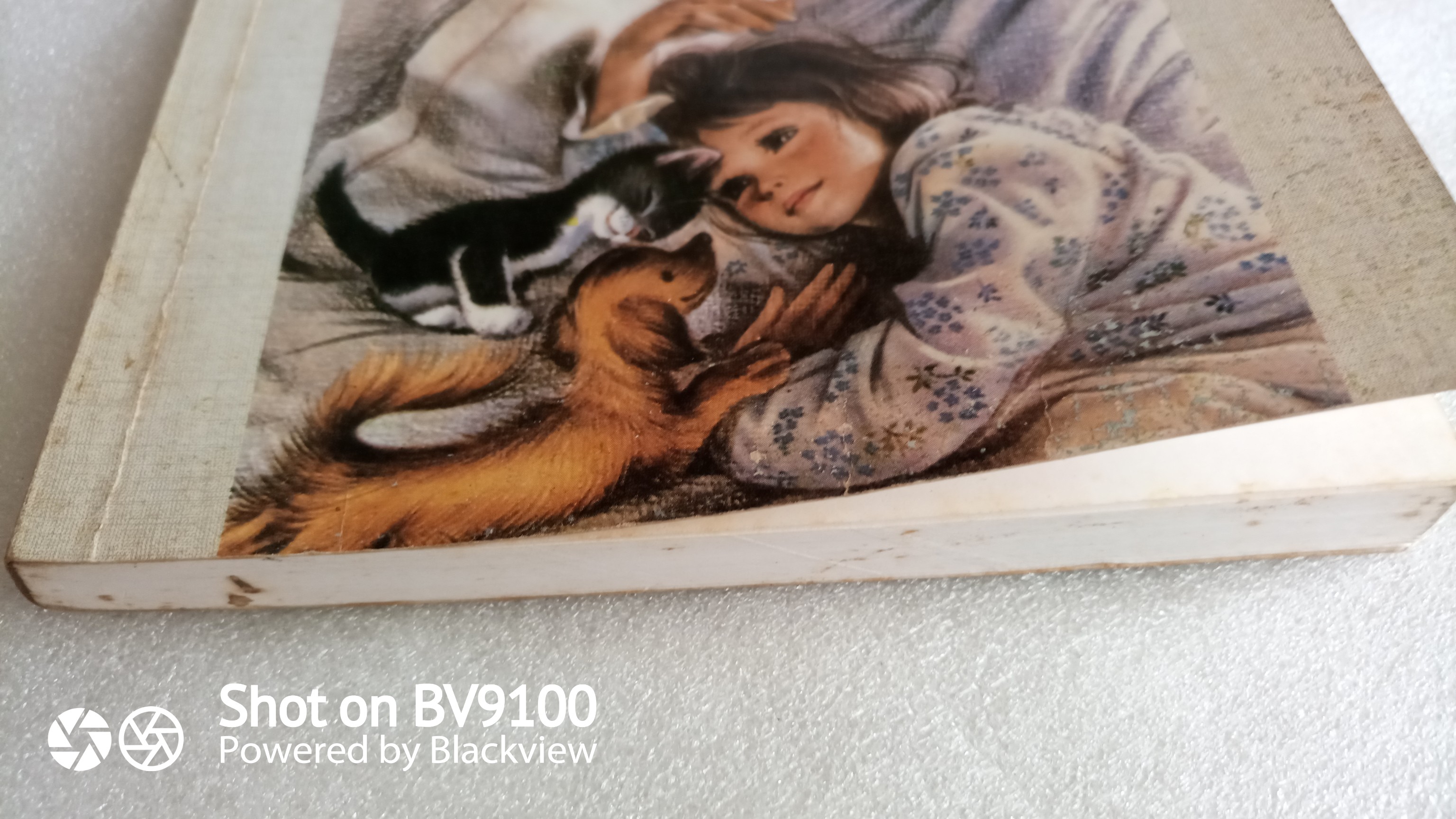 รอวันนั้น / จูดี้ บลูม