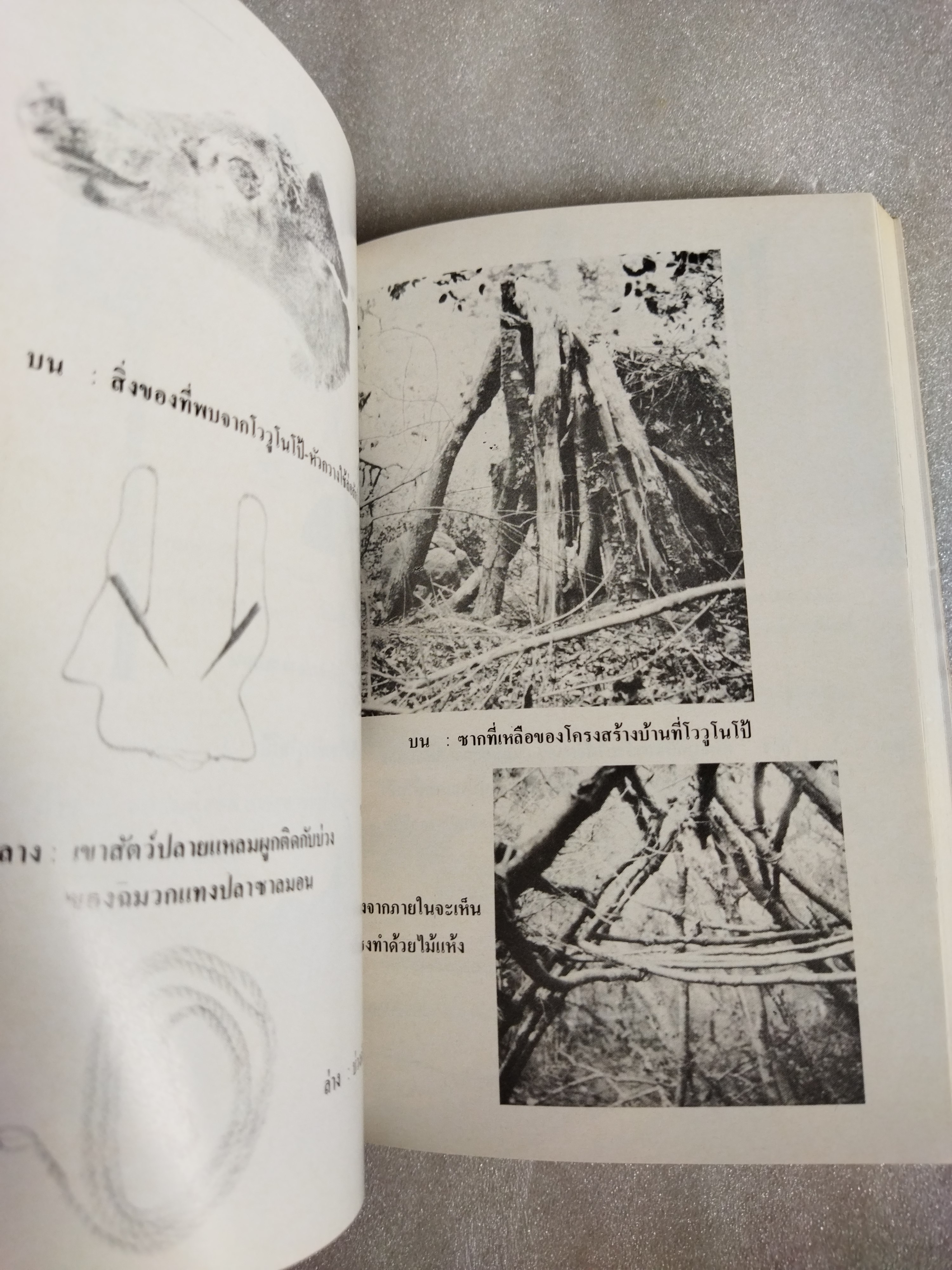 อิชิ มนุษย์สองโลก