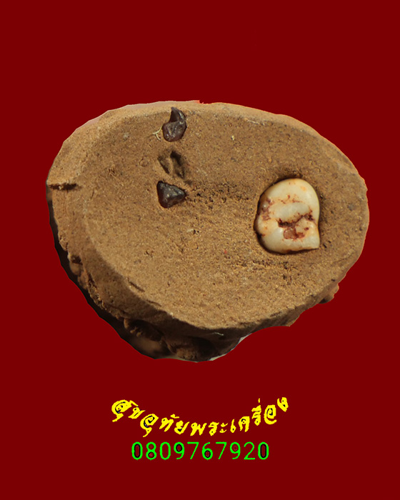 315.อุปคุตนาคปรกจกบาตร เนื้อว่าน ฝังพลอยและปฐวีธาตุ หลวงปู่คำพัน วัดธาตุมหาชัยหายากครับ***2