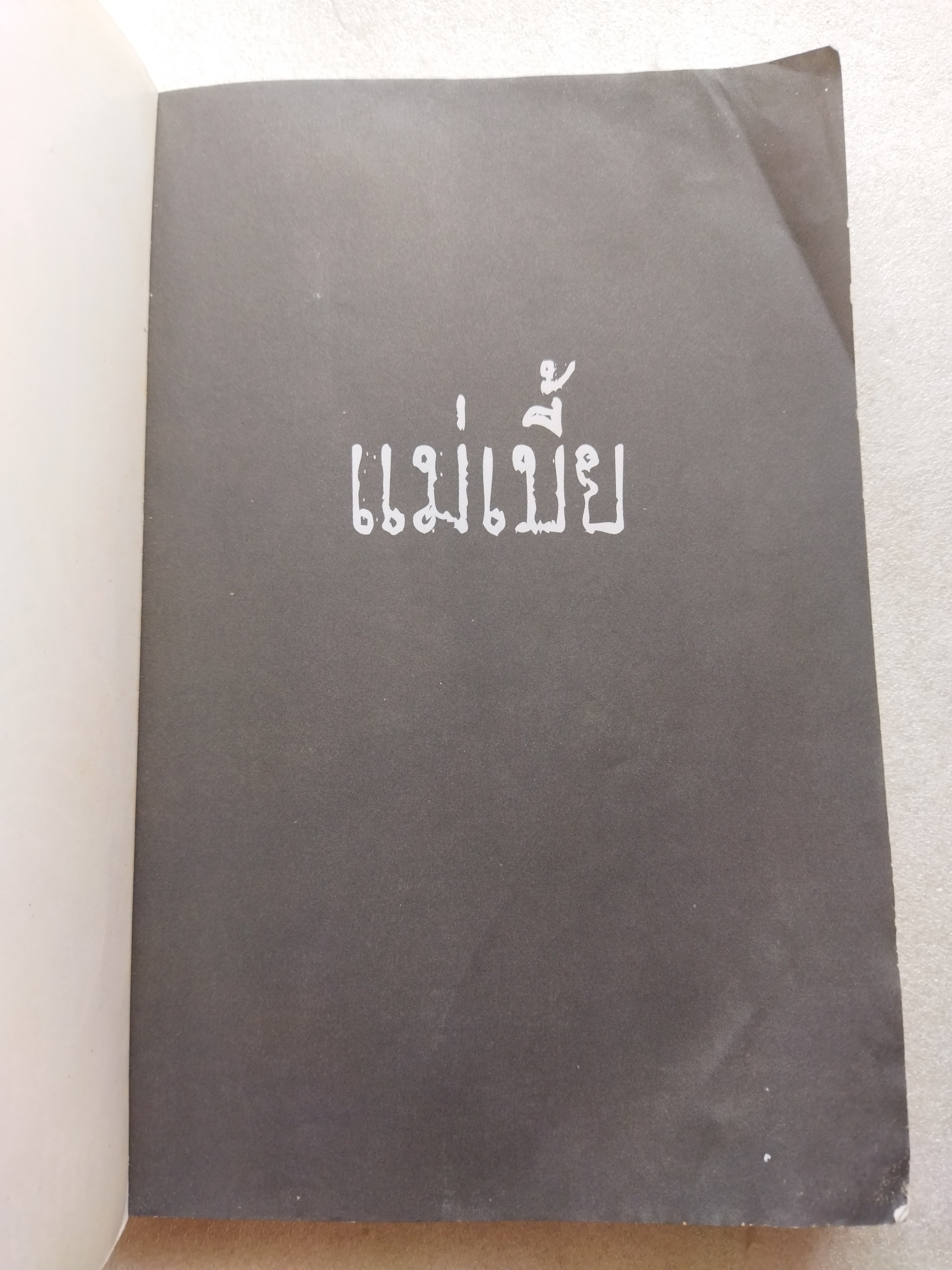 แม่เบี้ย /วาณิช จรุงกิจอนันต์