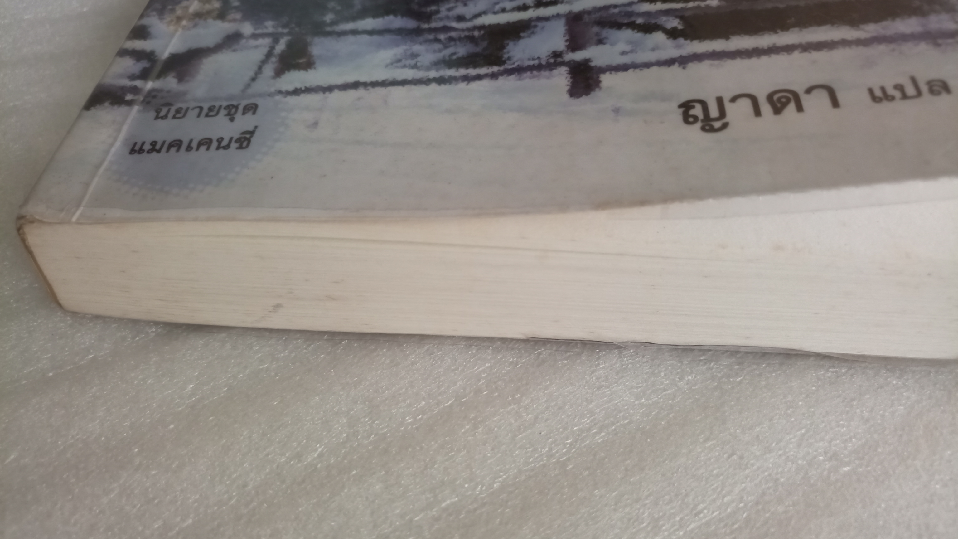 เจ้าภูผา Mackinzie's Mountain