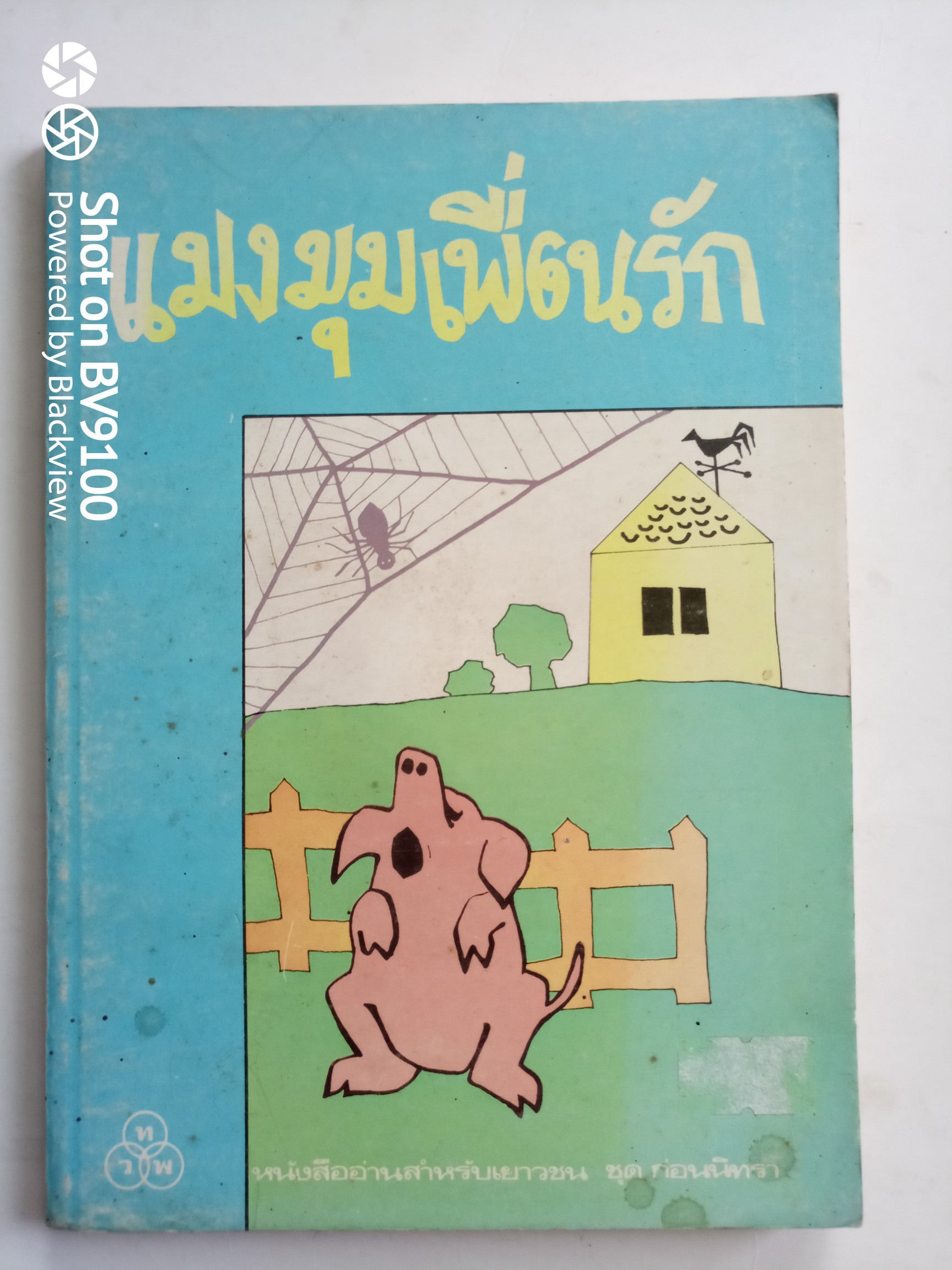 แมงมุมเพื่อนรัก