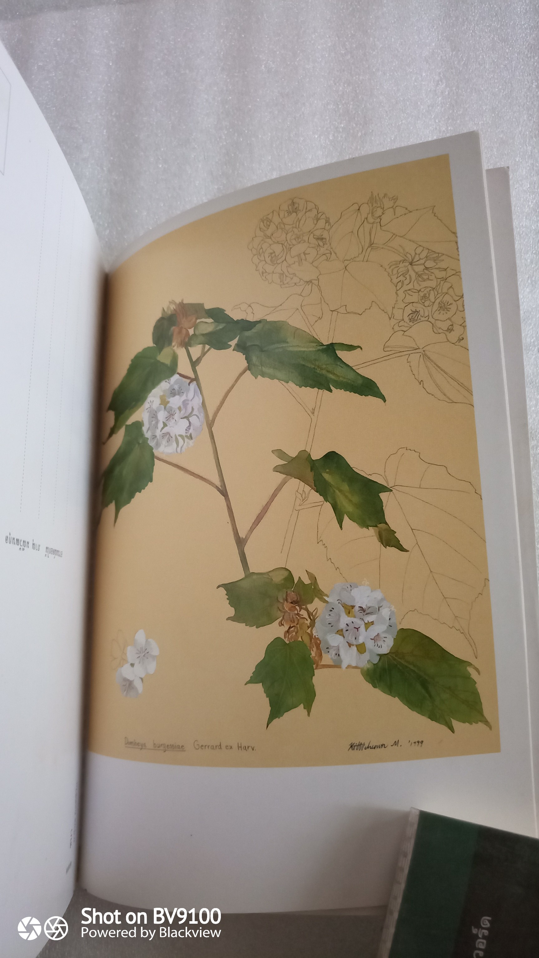 อารมณ์ดอกไม้ / ภาณุ มณีวัฒนกุล