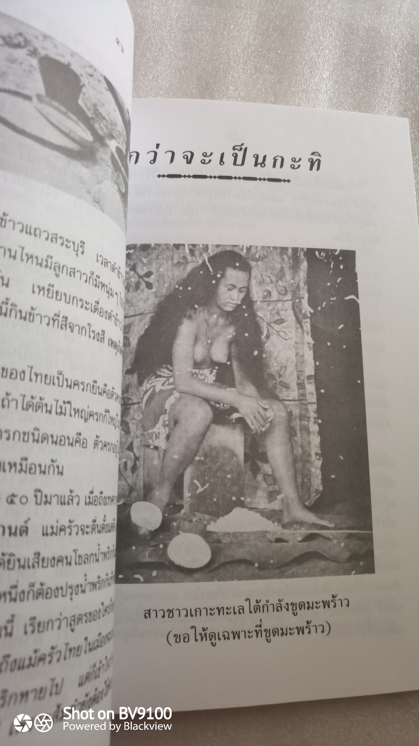 ครัวไทย / ส. พลายน้อย
