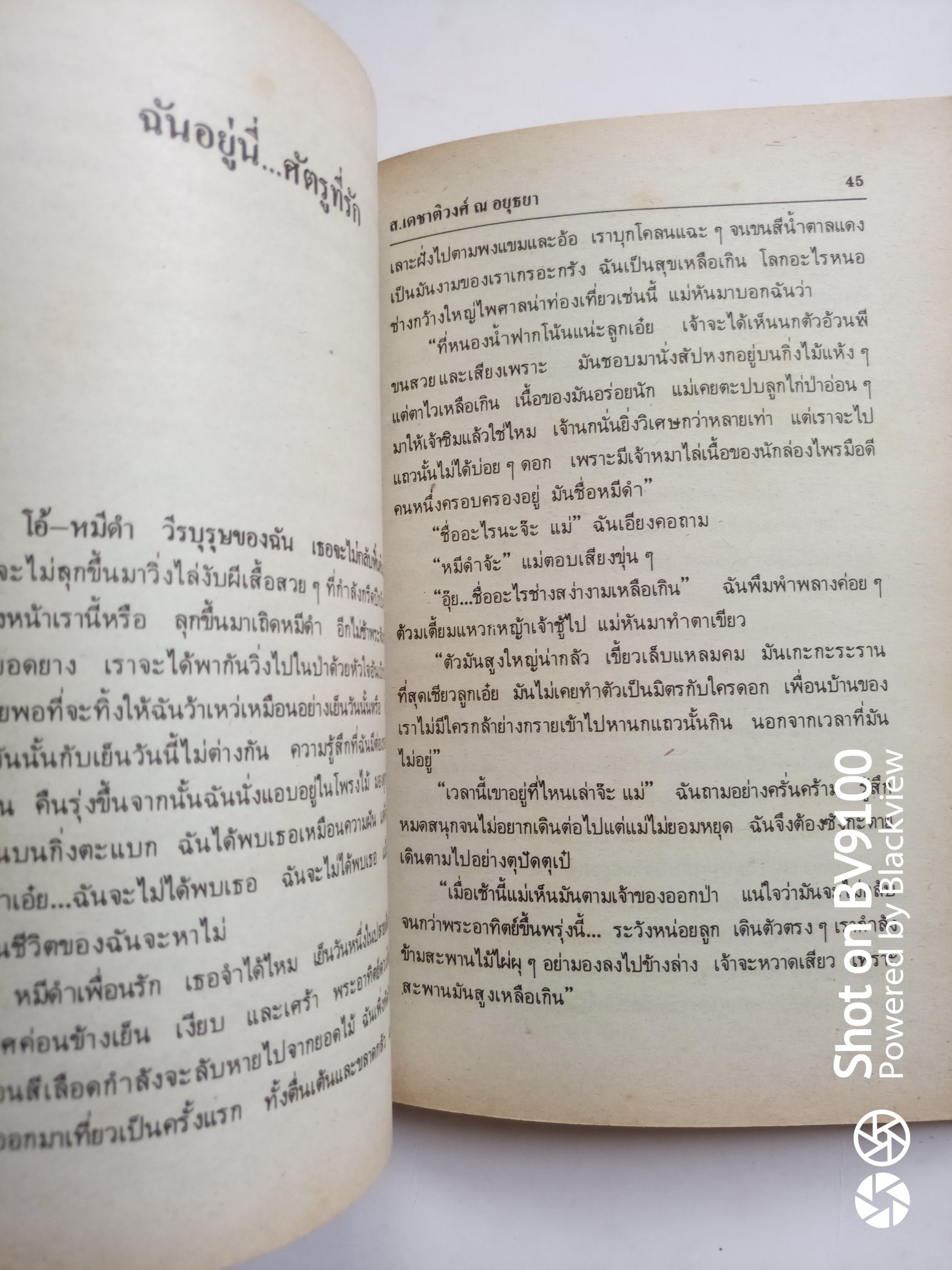 ฉันอยู่นี่.. ศัตรูที่รัก