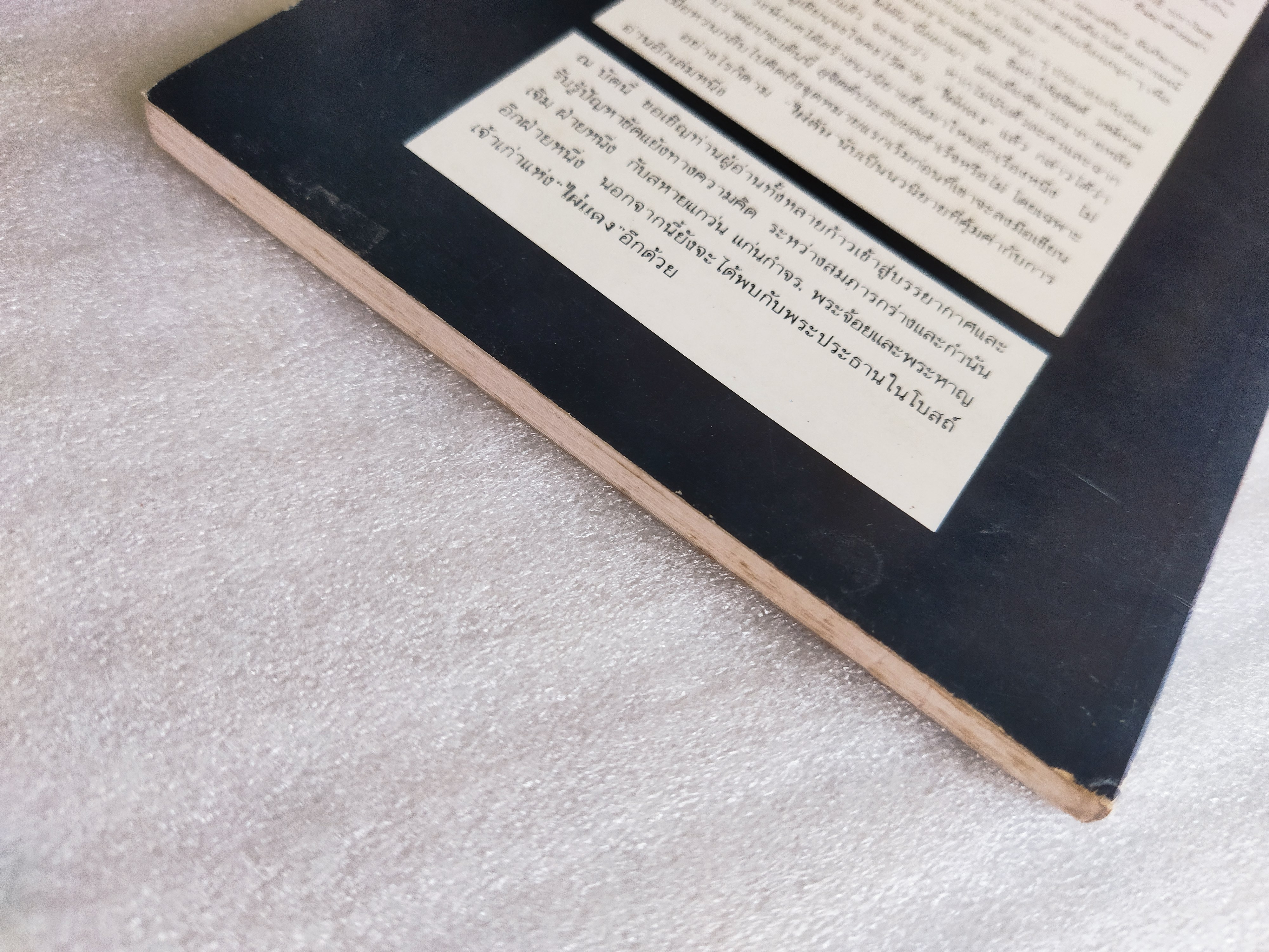 ไผ่ตัน /สุจิตต์ วงษ์เทศ