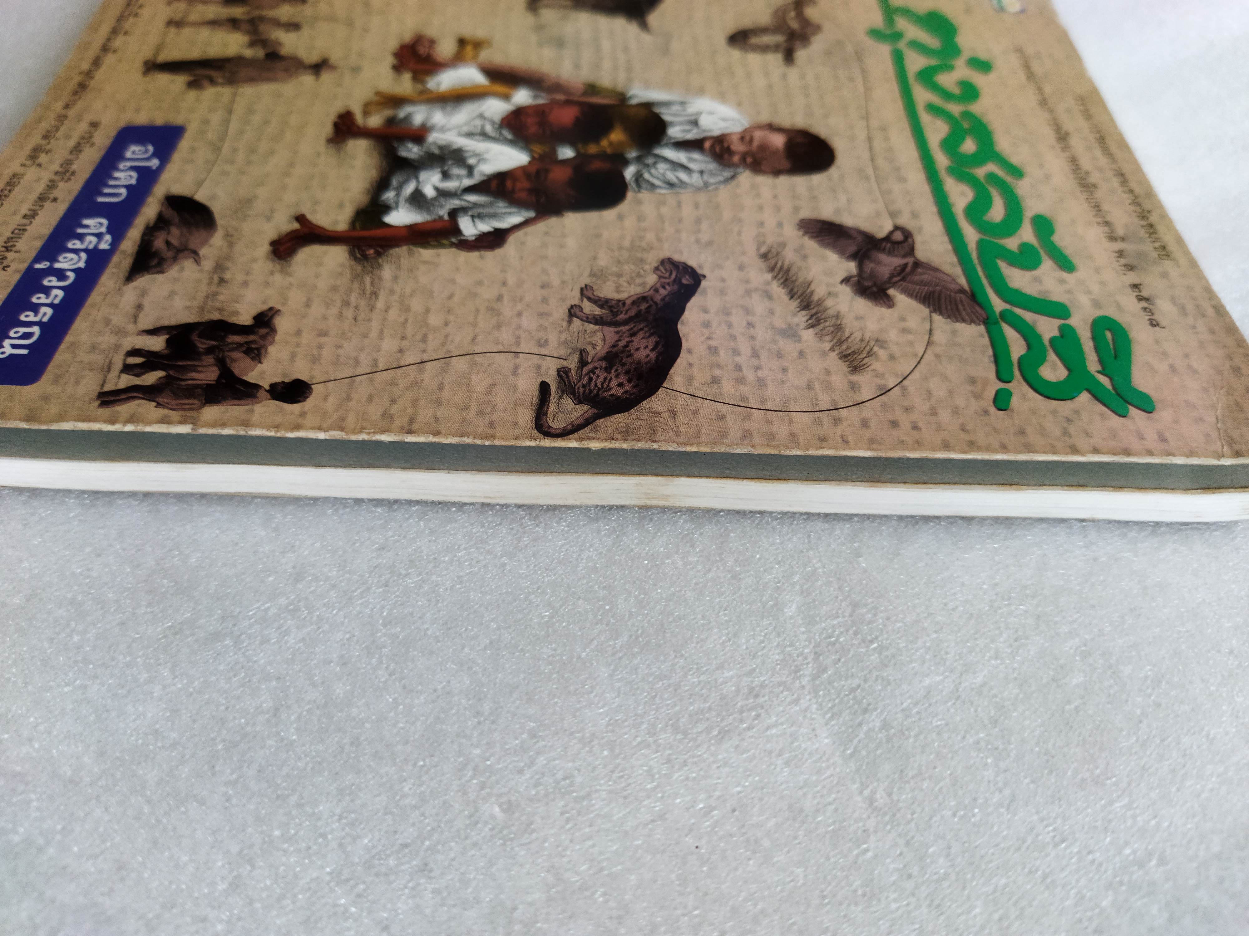 ทุ่งสลับสี / อโศก ศรีสุวรรณ