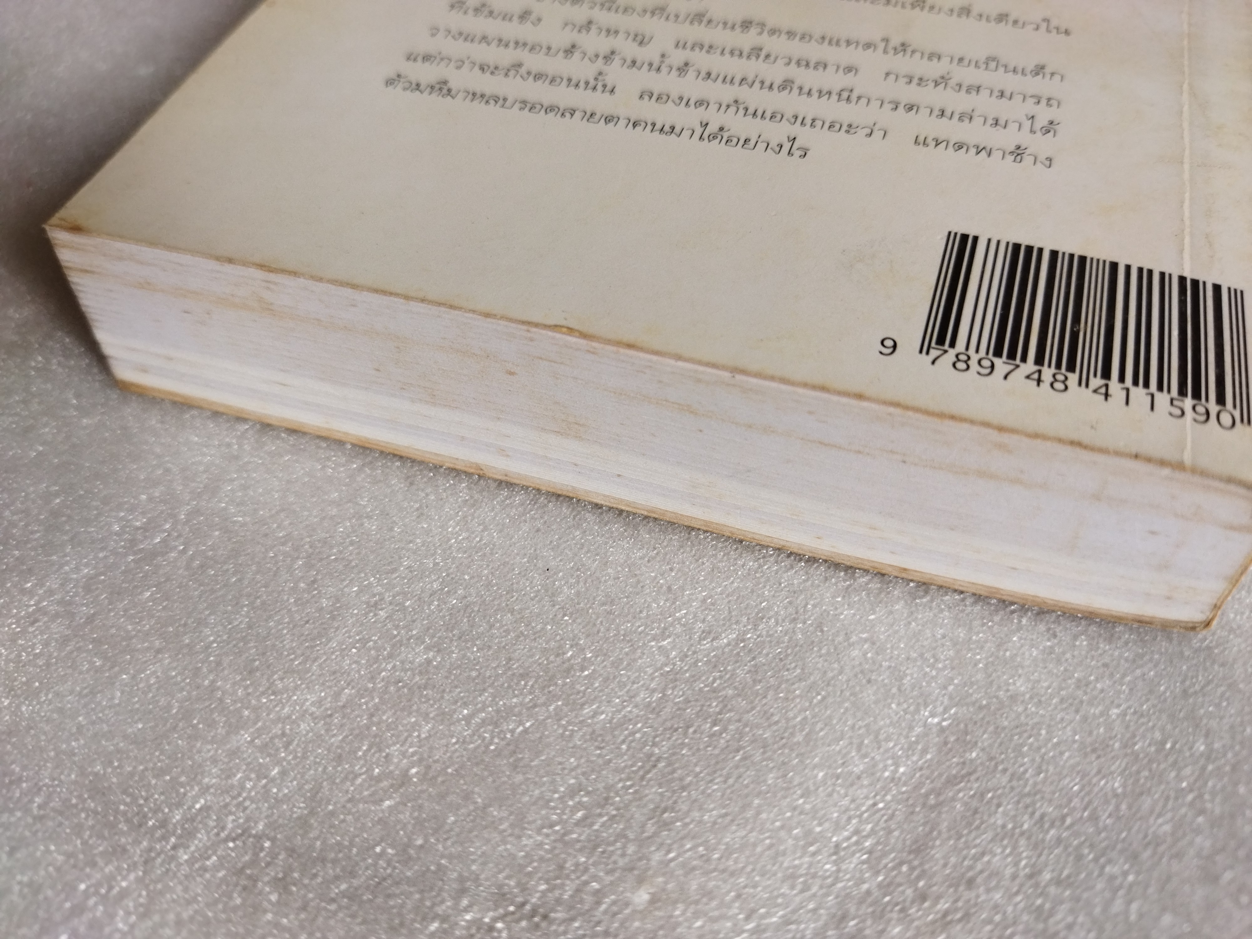 หอบช้างหนีสุดแผ่นดิน The great elephant chase / จิลเลียน, ครอสส์