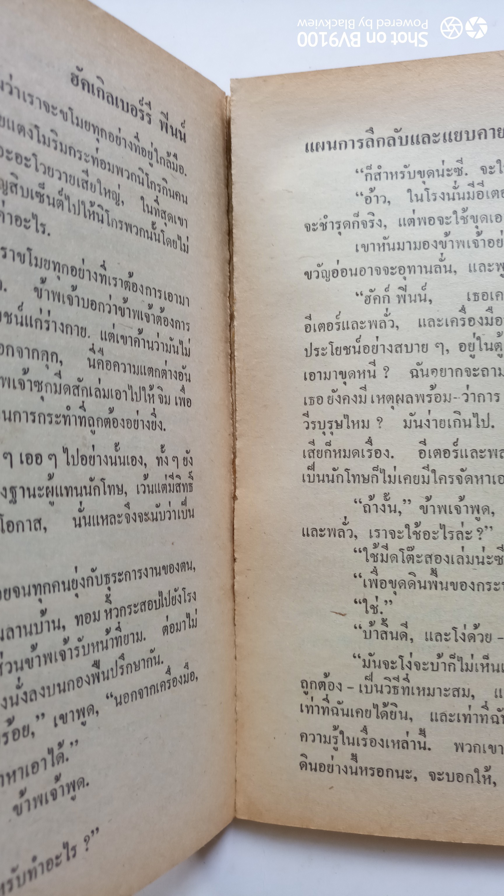 ฮักเกิลเบอร์รี่ ฟินน์ *ตำหนิ