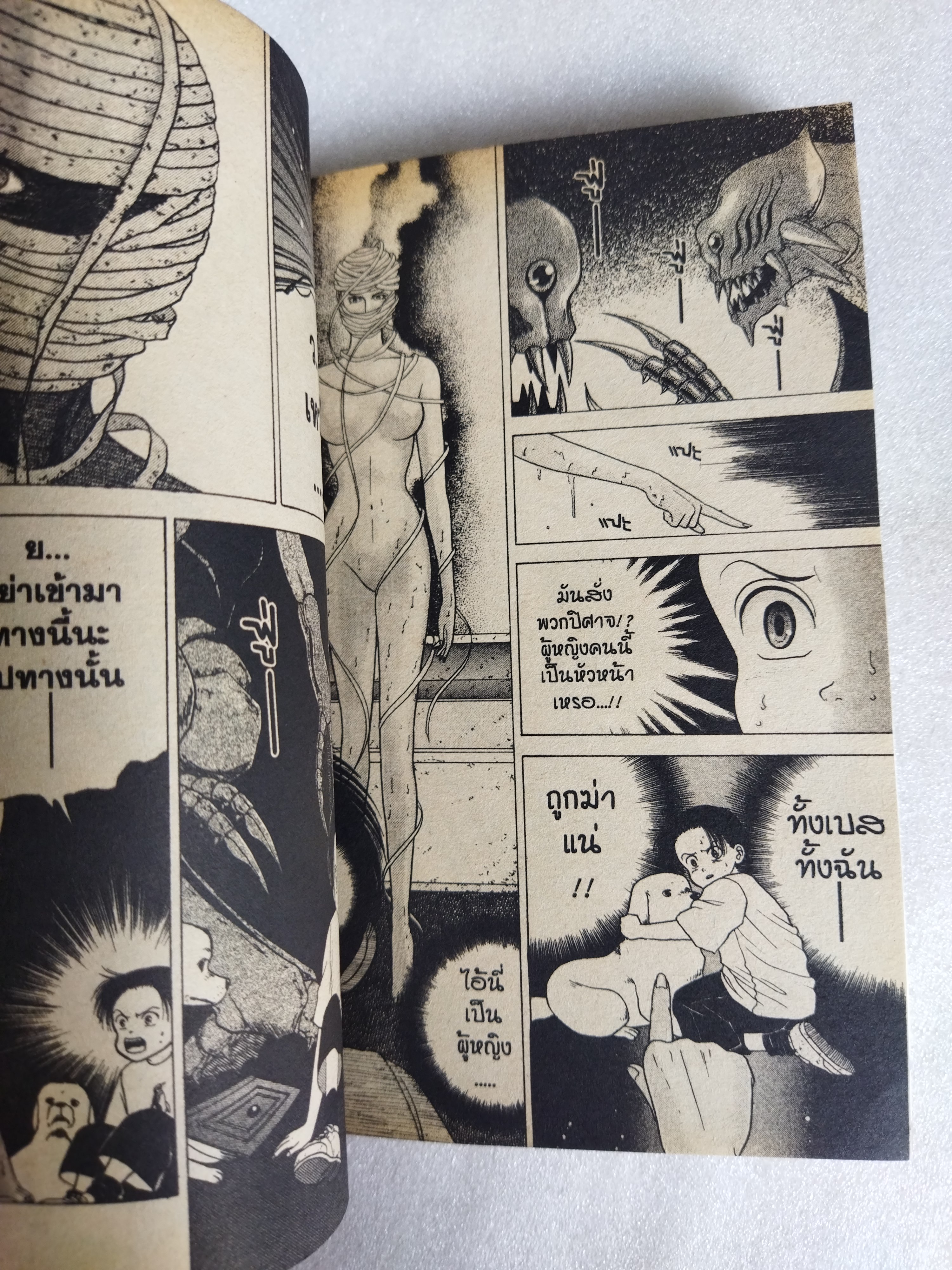 อีนิกม่า 2 เล่มจบ