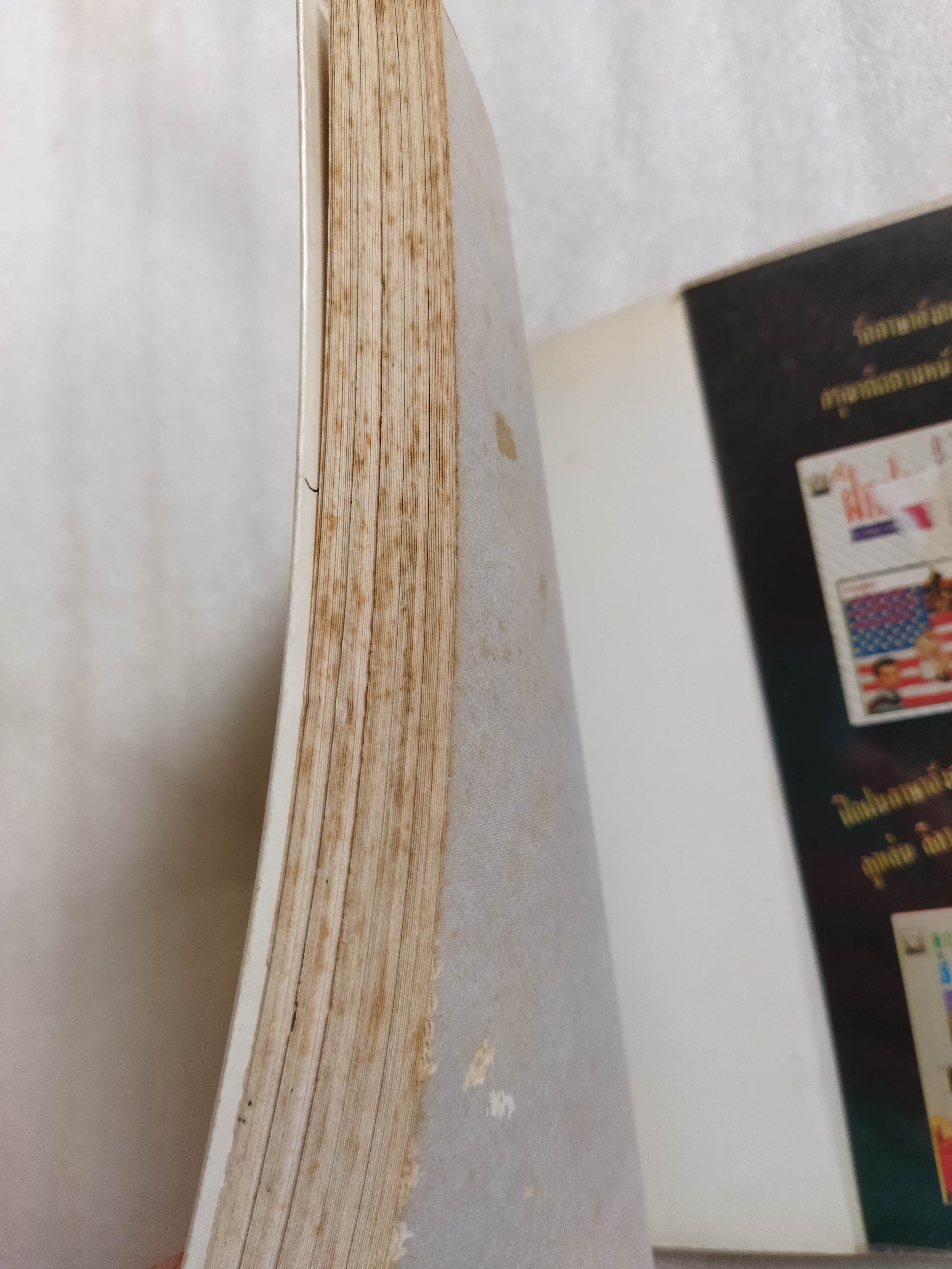 ผู้หญิงทำอะไรได้อีกตั้งแยะ / นิศาชนม์