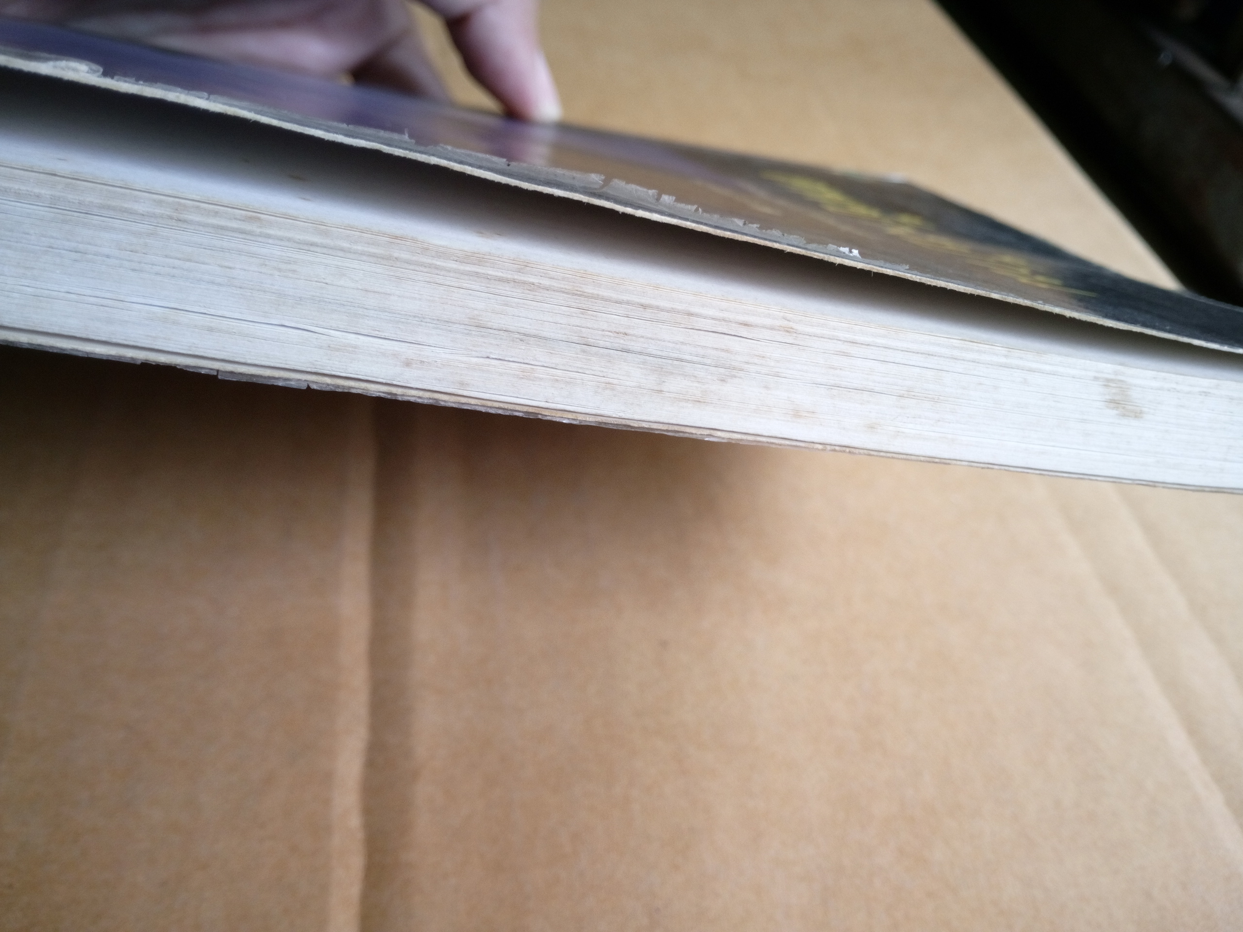 ศพข้างบ้าน