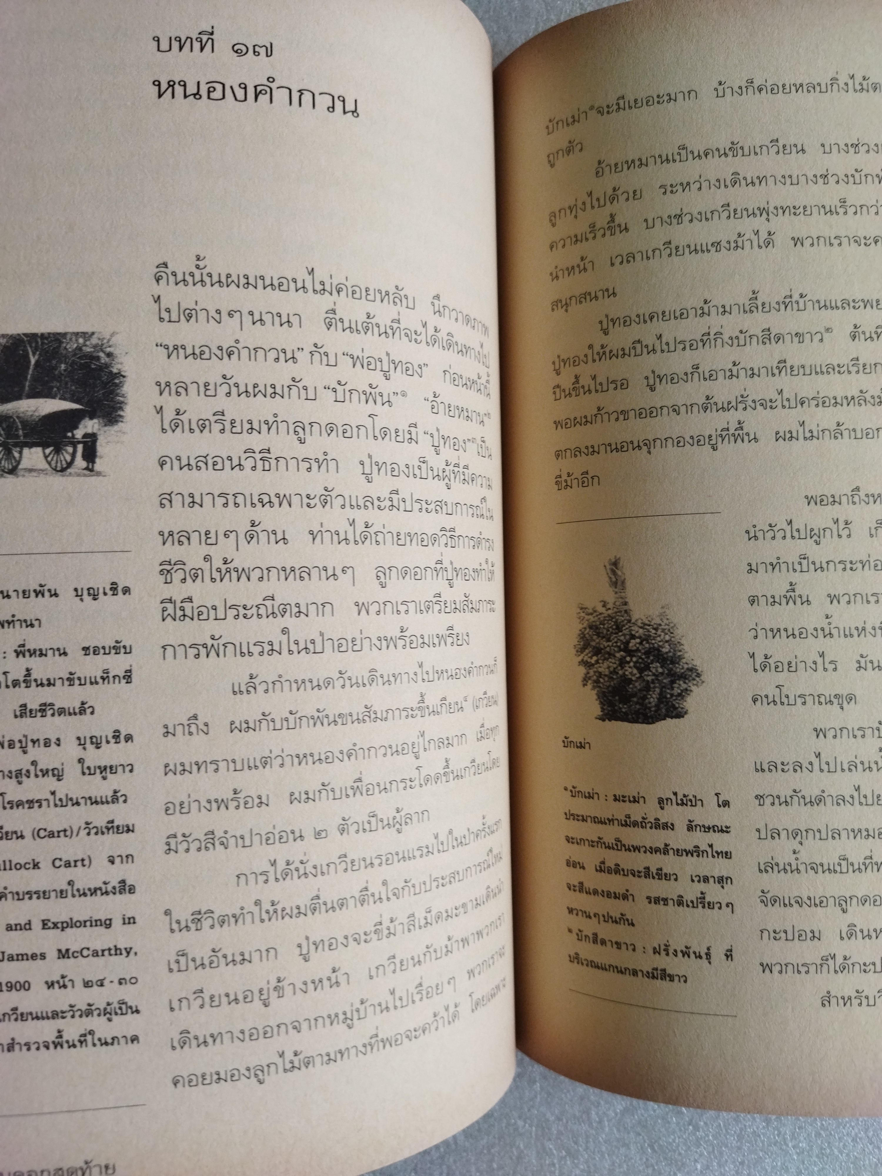 คูนดอกสุดท้าย / จุลินทร์ ศรีสะอาด