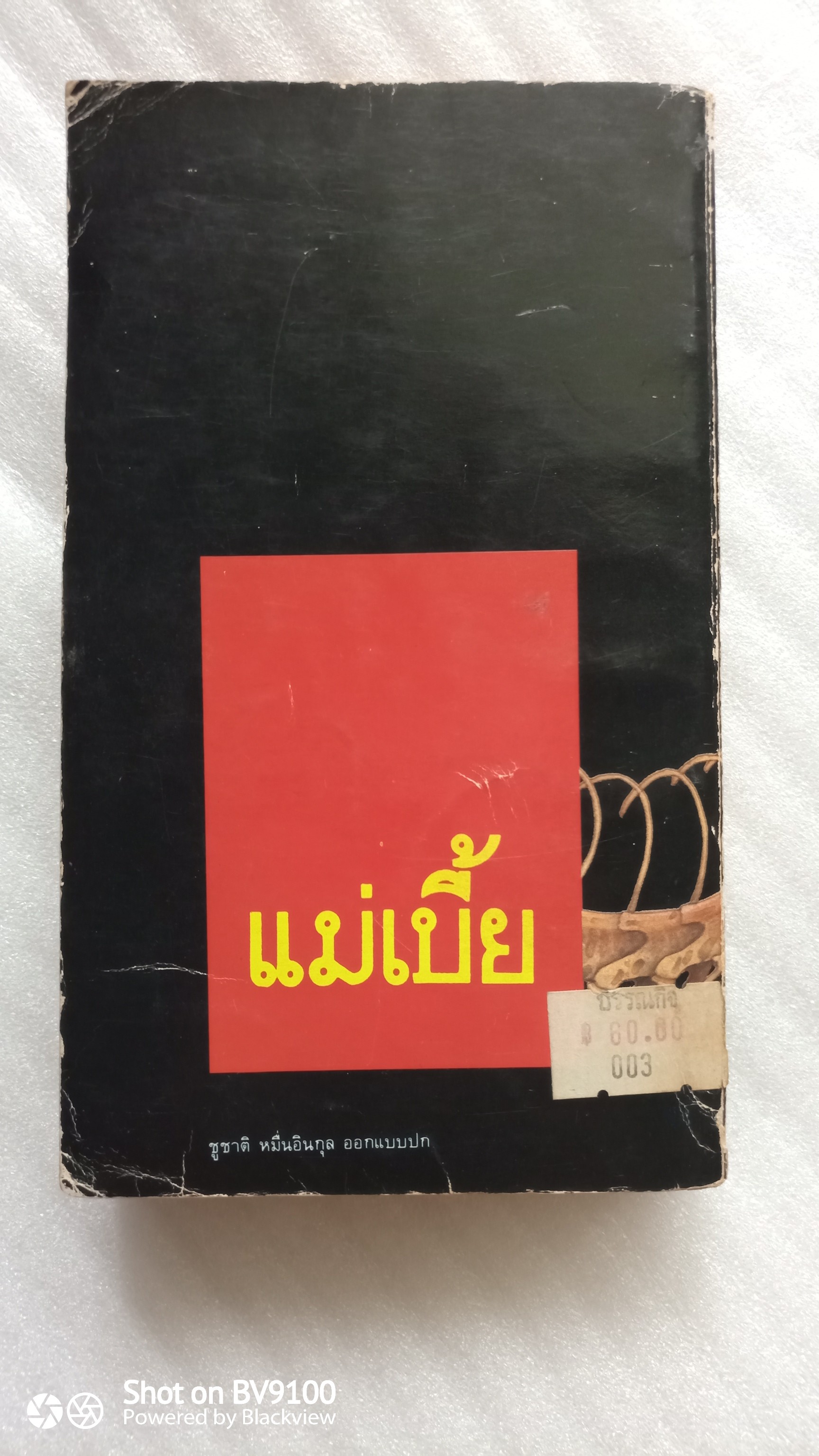 แม่เบี้ย / วานิช จรุงกิจอนันต์