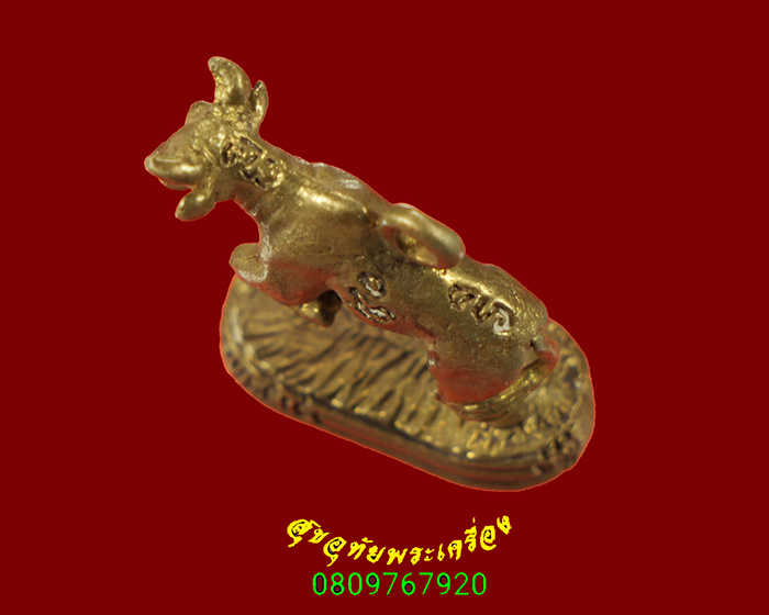 732.วัวธนู หลวงพ่อเขียน วัดกระทิง จ.จันทบุรี ปี2549 เข้มขลัง สวยสมบูรณ์เดิมครับ***2