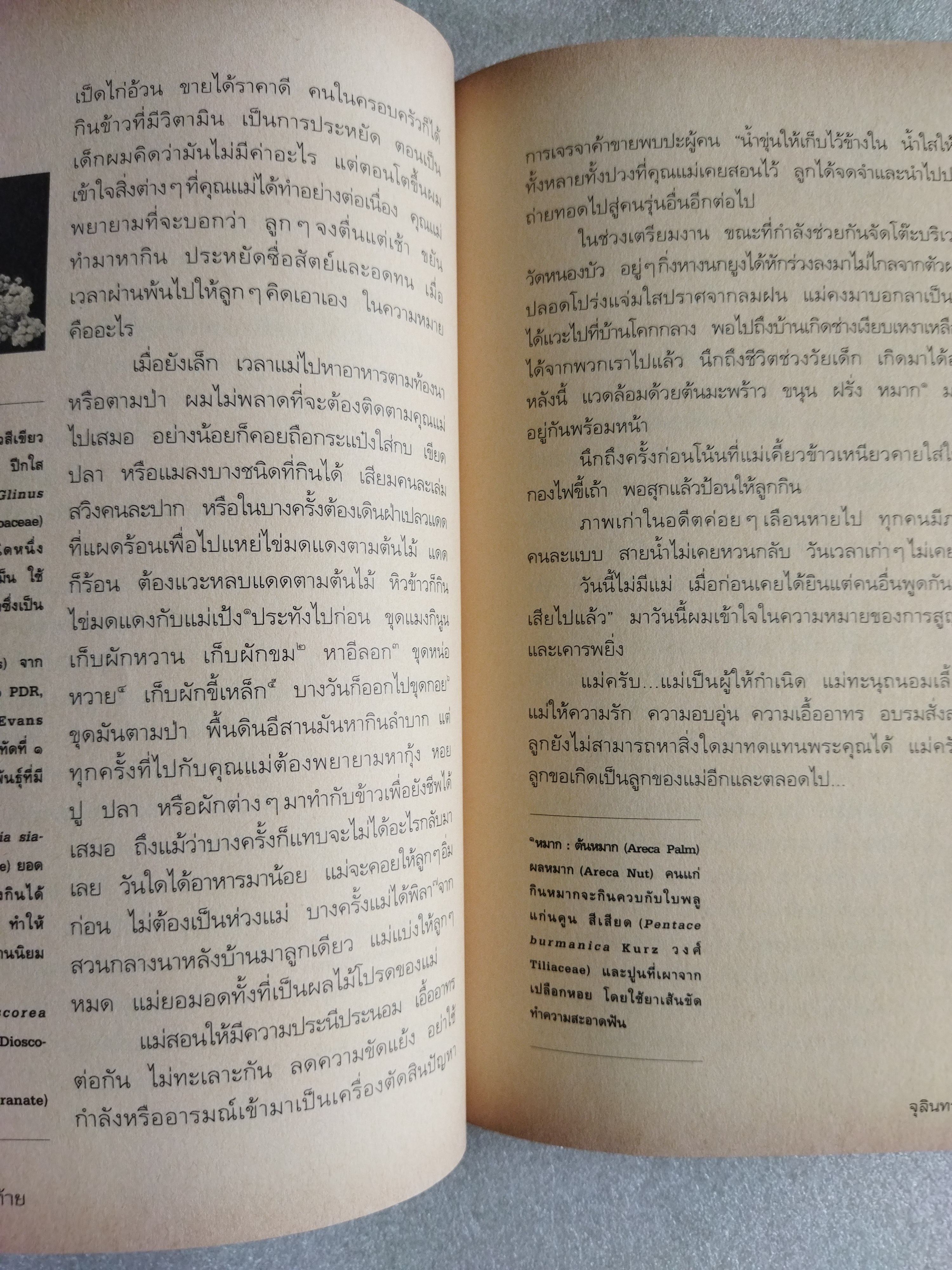 คูนดอกสุดท้าย / จุลินทร์ ศรีสะอาด