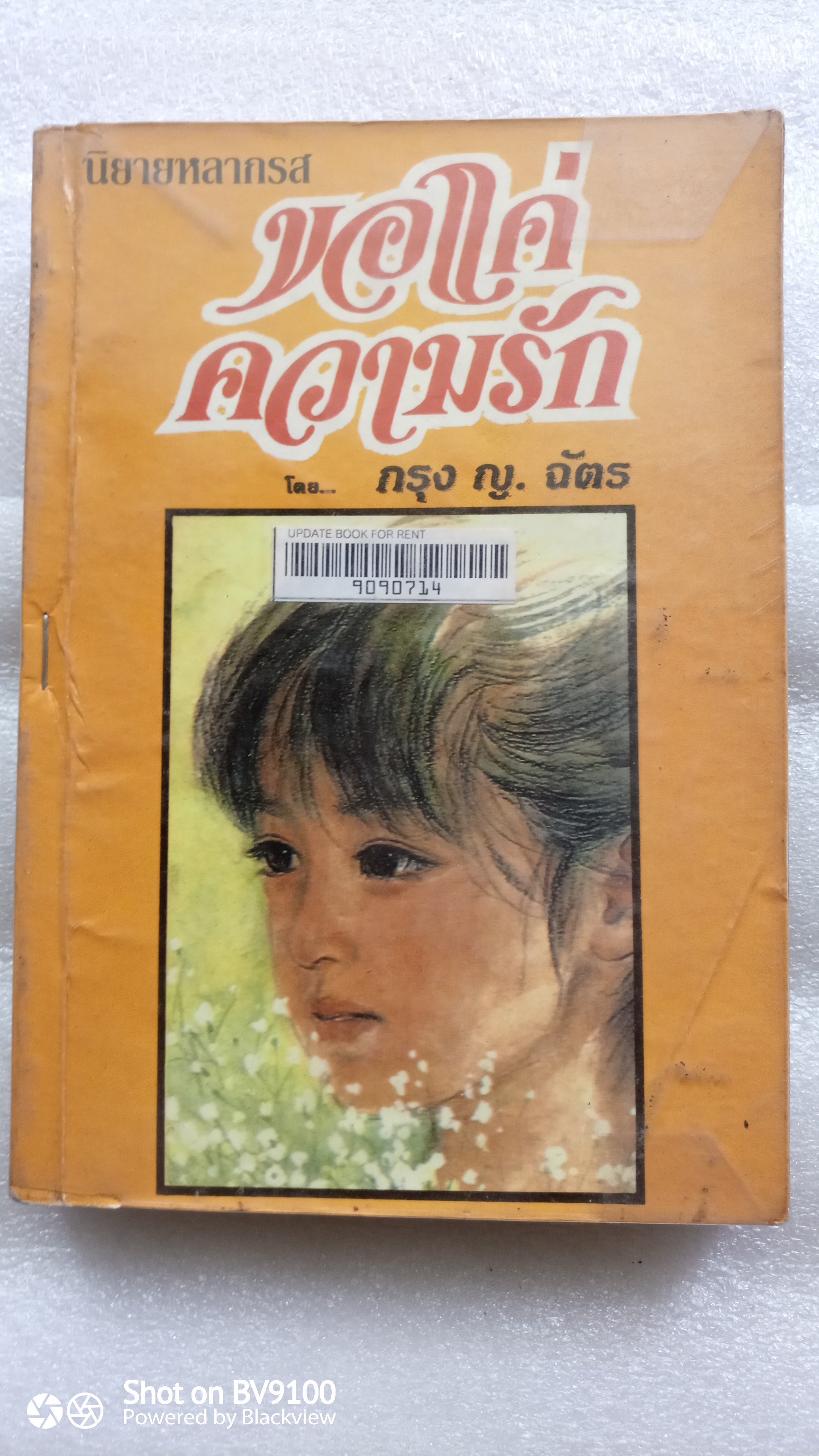 ขอแค่ความรัก / กรุง ญ.ฉัตร