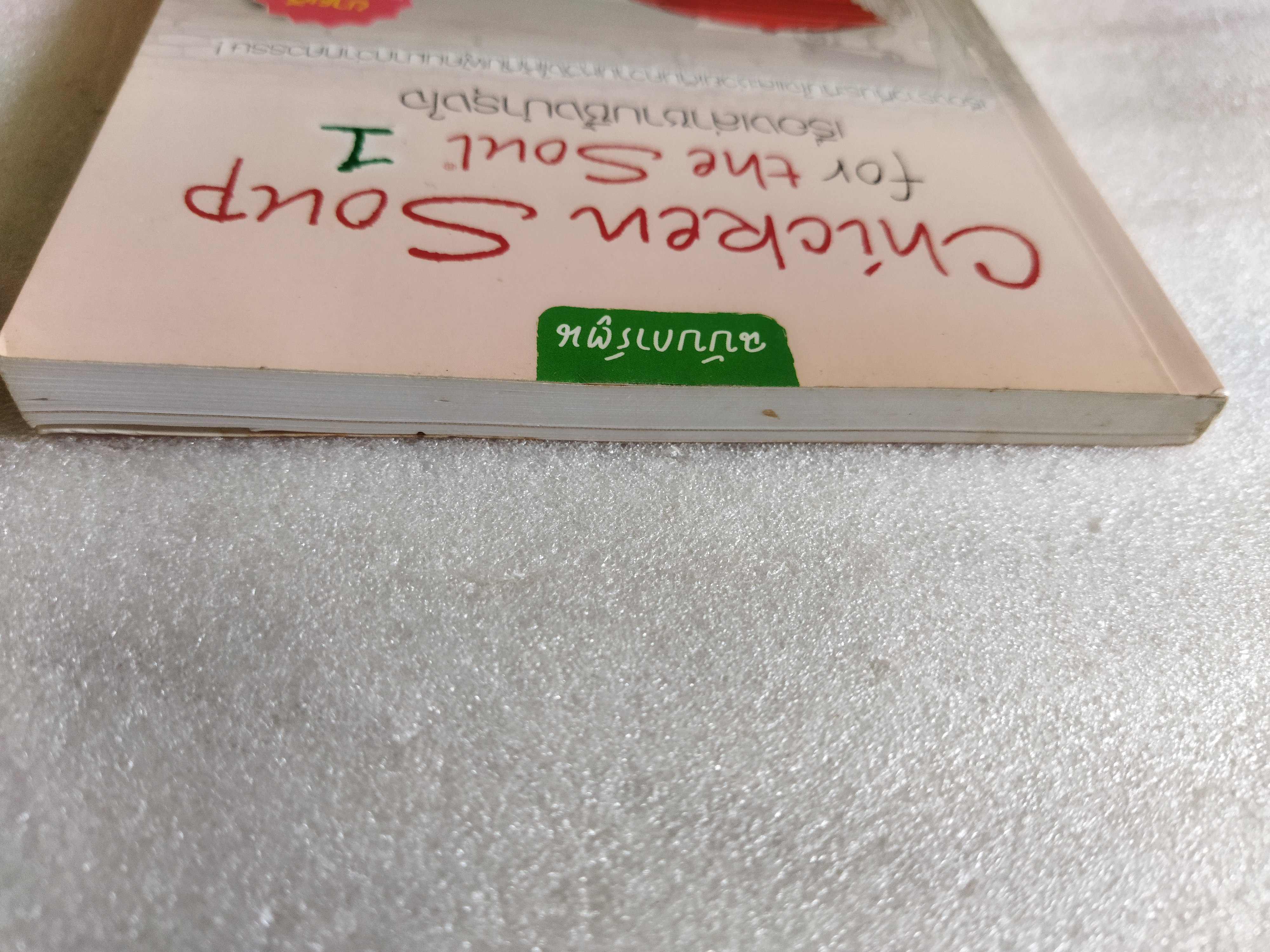 Chicken Soup for the Soul 1 เรื่องเล่าซาบซึ้งบำรุงใจ (ฉบับการ์ตูน)