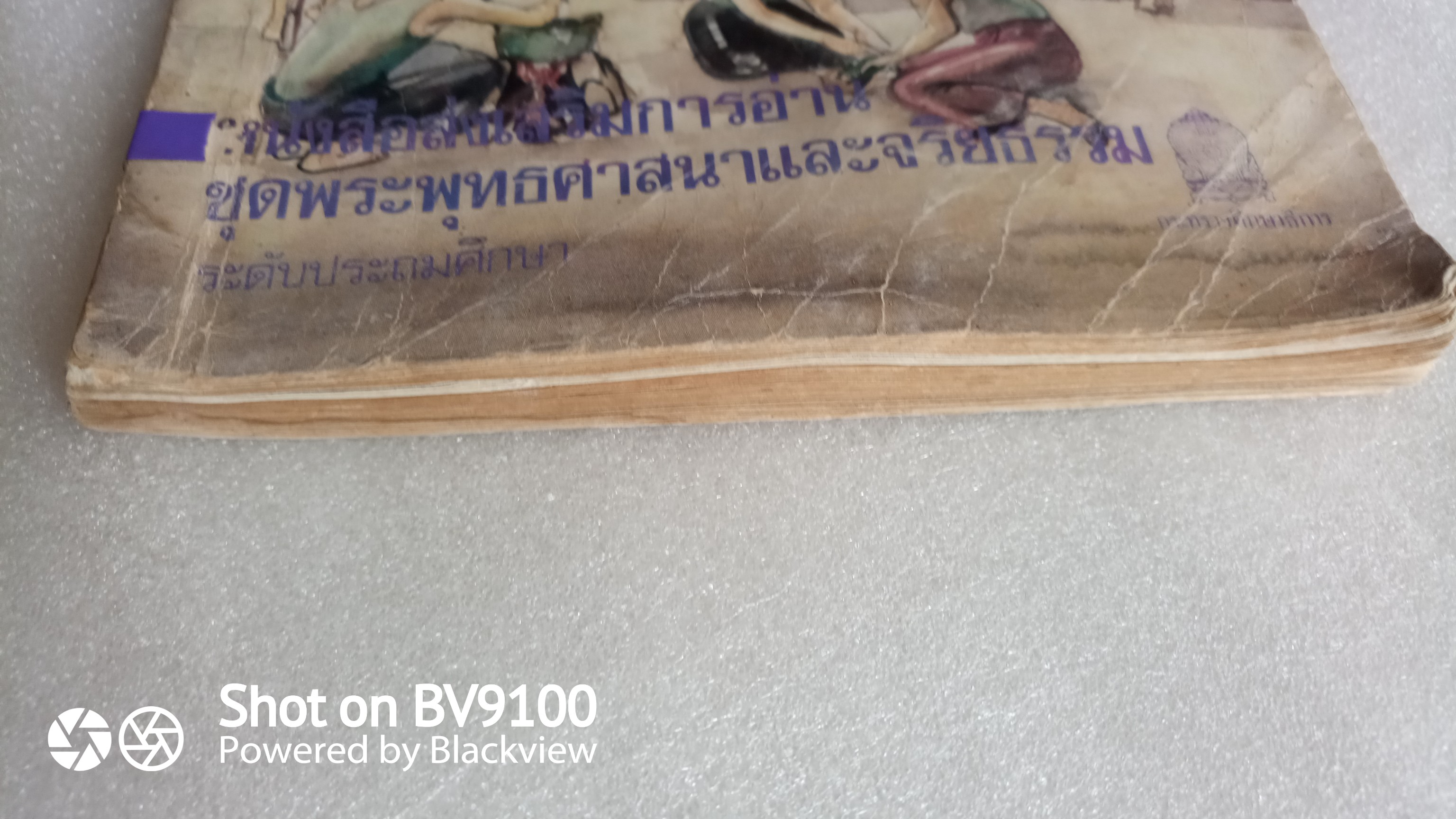 พี่ชาย / นงไฉน ปริญญาธวัช (กาญจนา นาคนันท์)