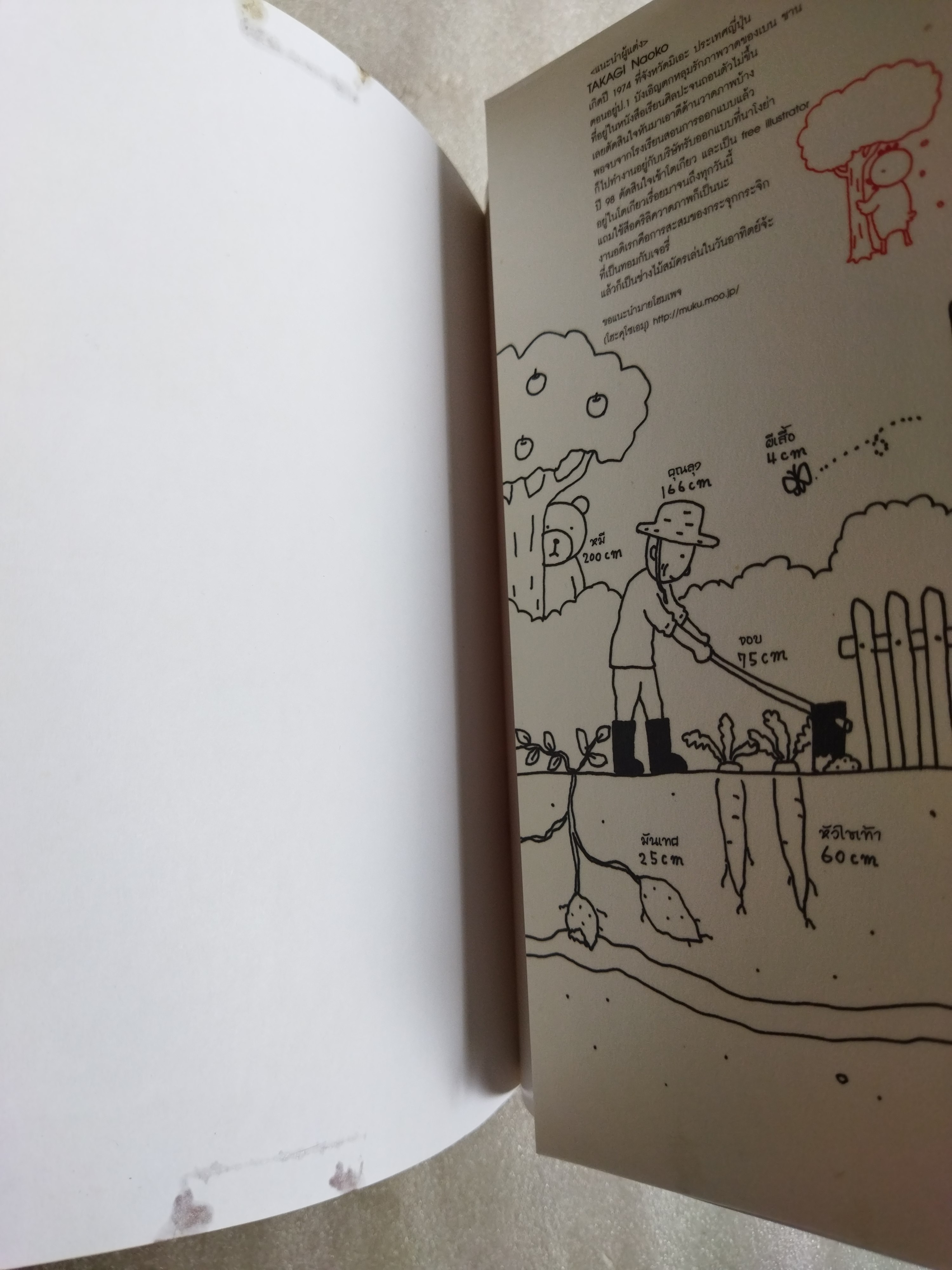 ชีวิต 150 cm. เล่ม 1-2