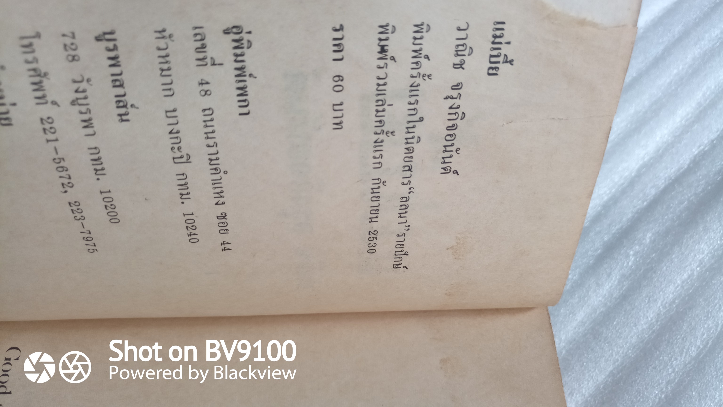 แม่เบี้ย / วานิช จรุงกิจอนันต์