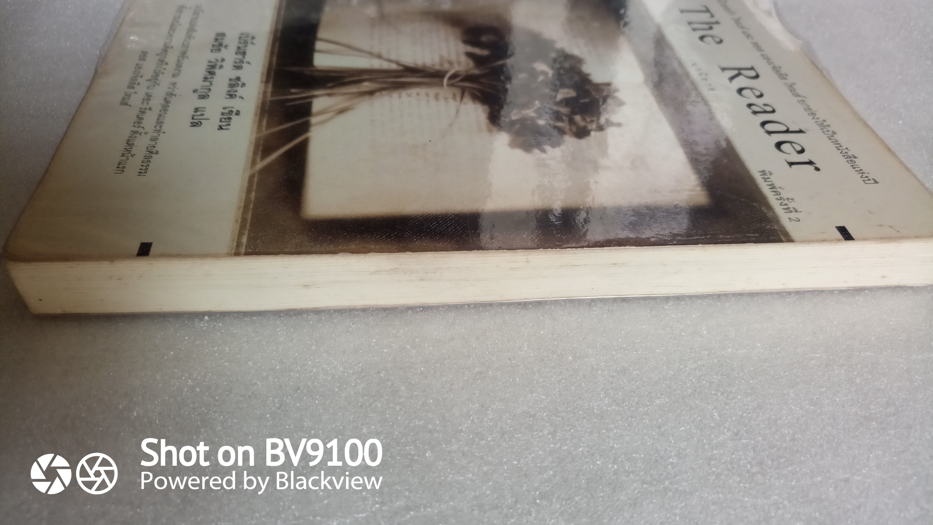 เดอะ รีดเดอร์ The Reader