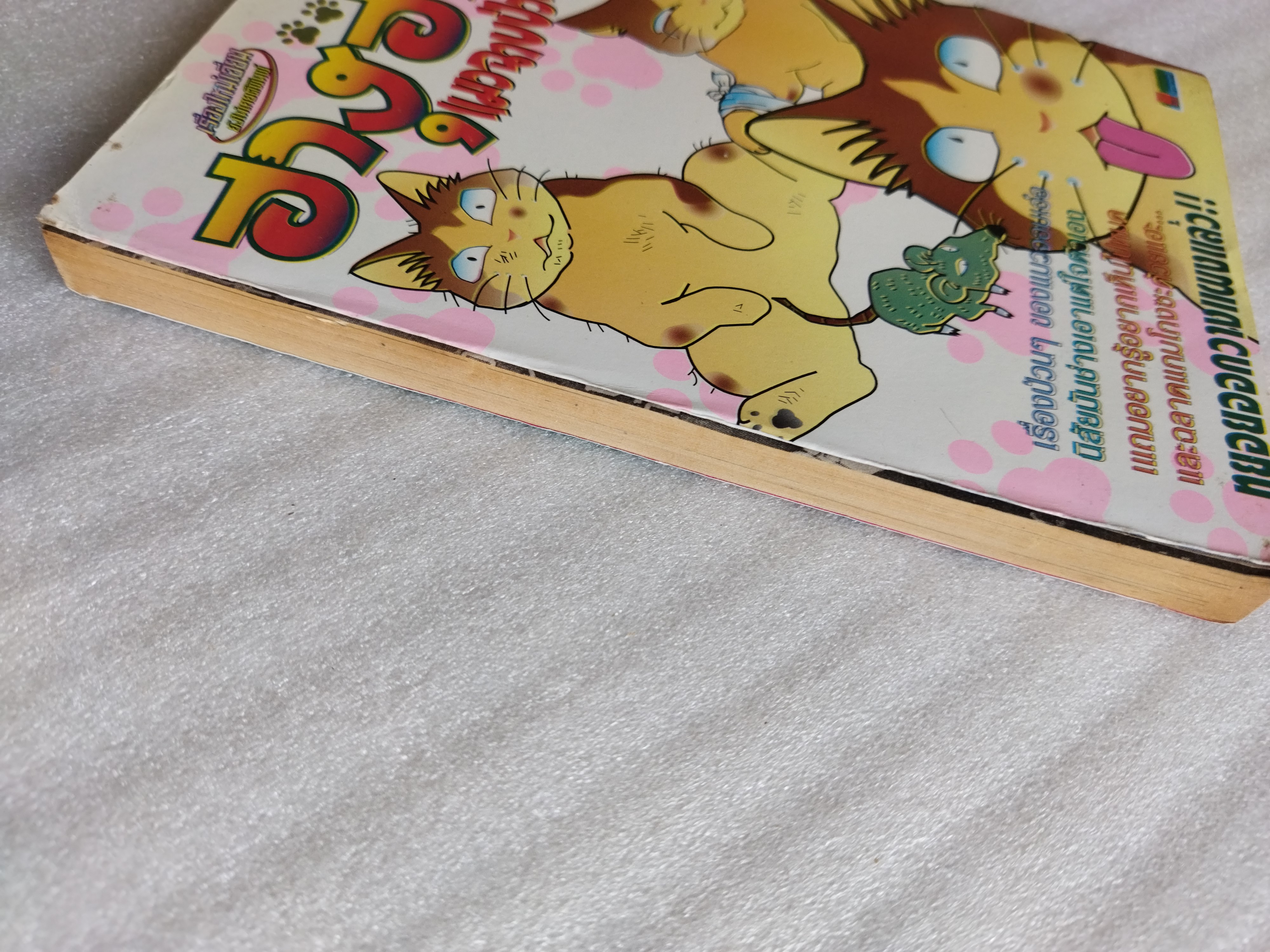 กังหันรัก / อ.อากิ คาซึ