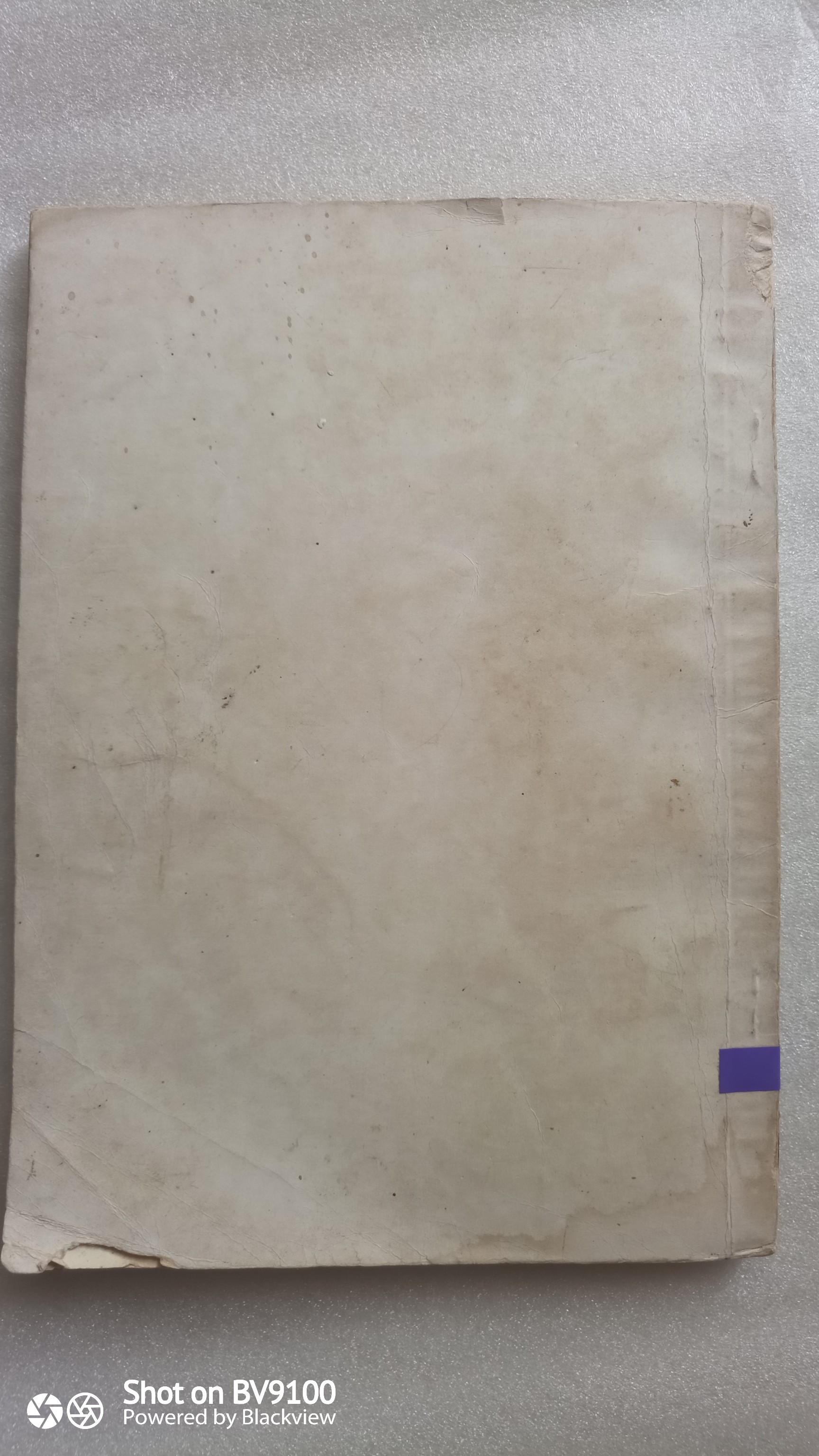 พี่ชาย / นงไฉน ปริญญาธวัช (กาญจนา นาคนันท์)