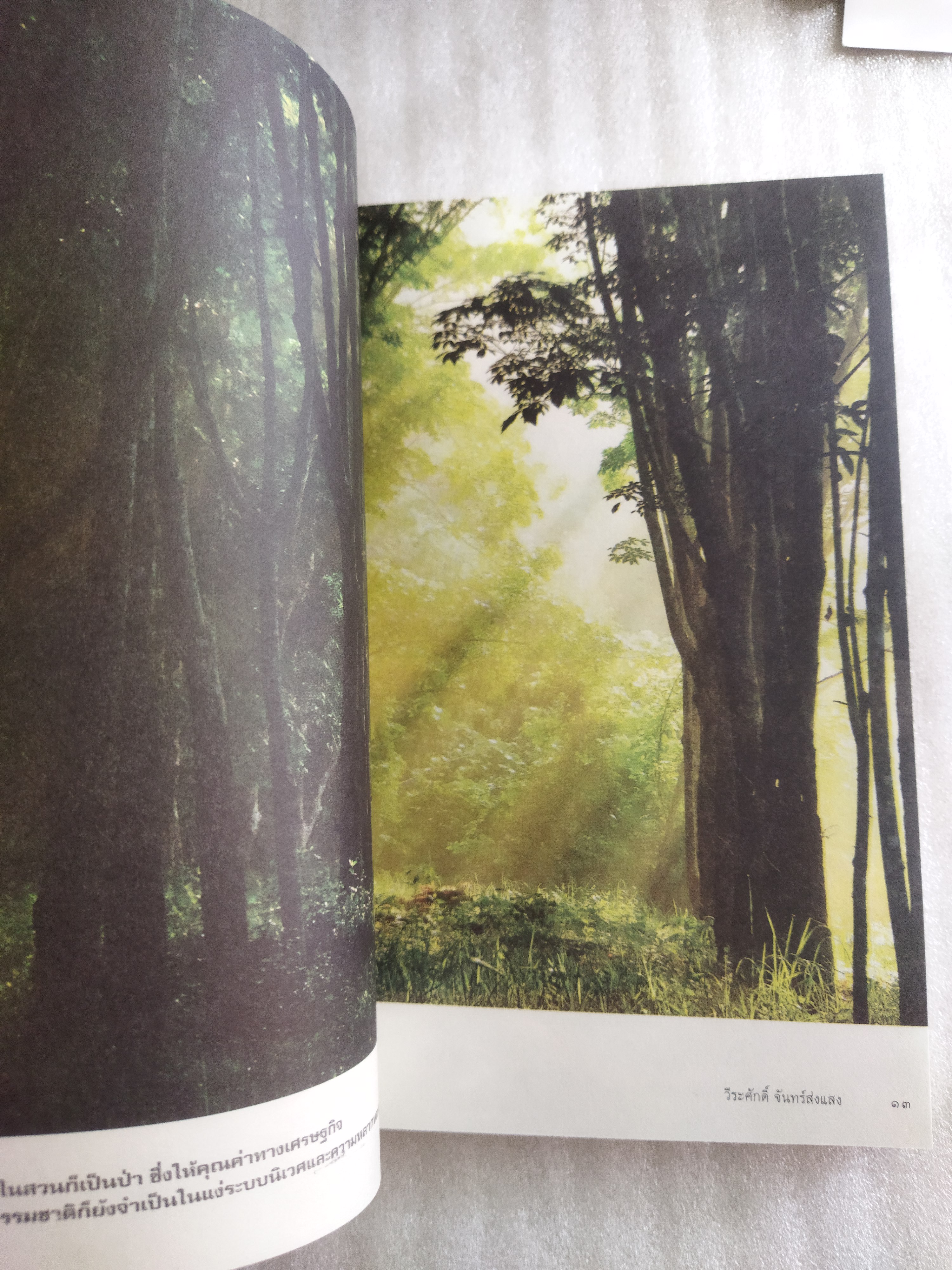 เรื่องมหัศจรรย์ธรรมดาของสามัญชน