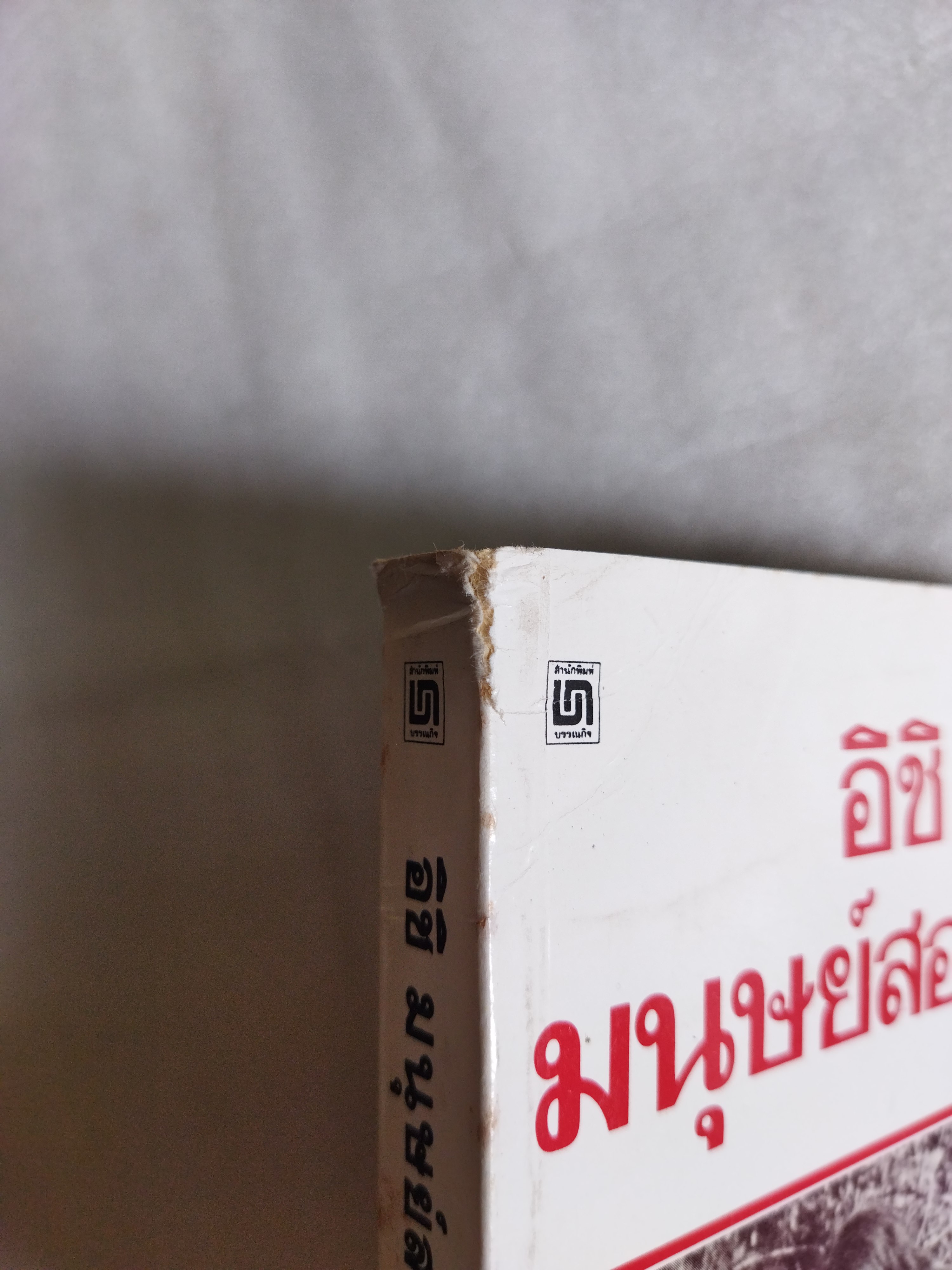 อิชิ มนุษย์สองโลก