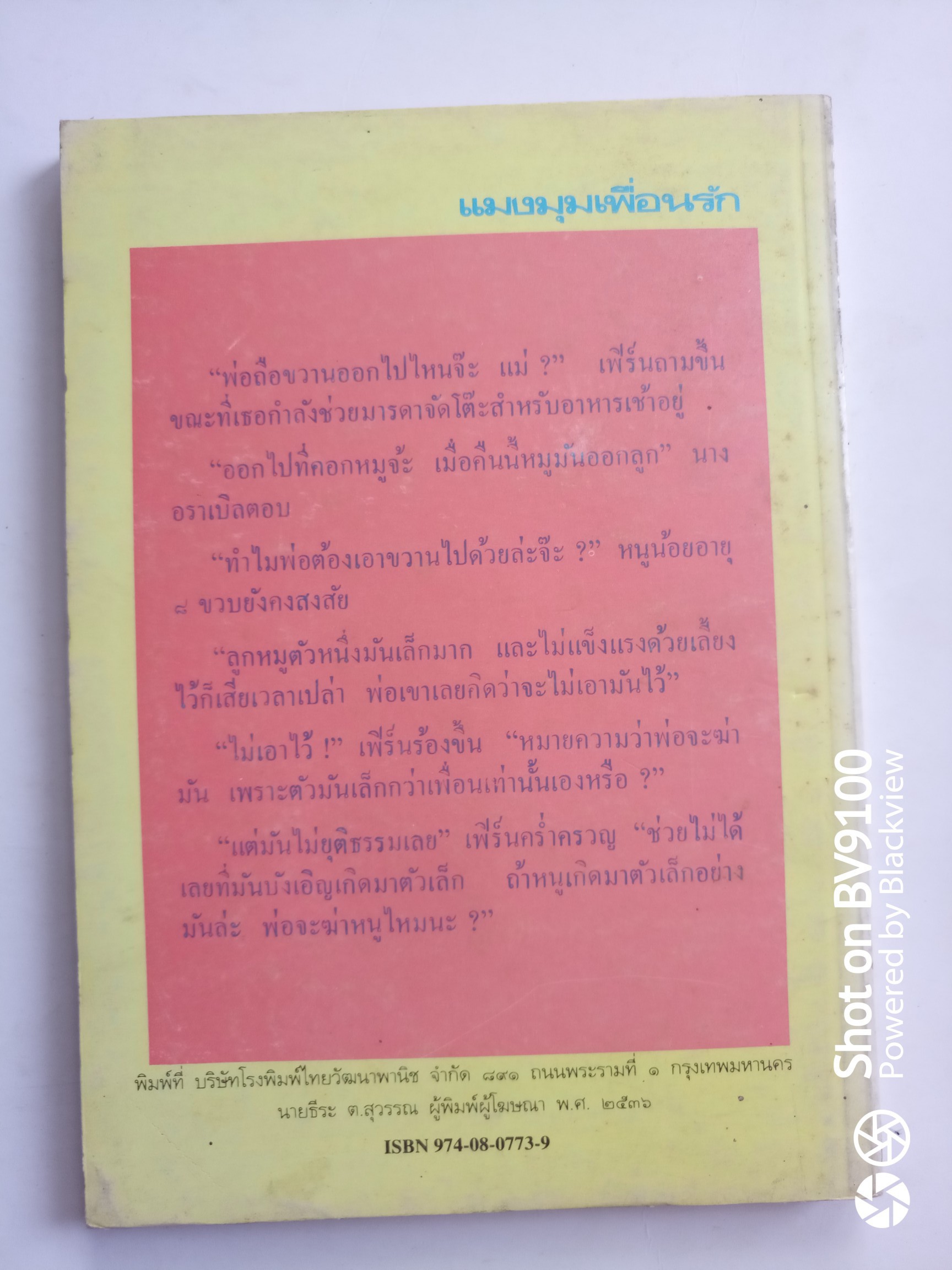 แมงมุมเพื่อนรัก