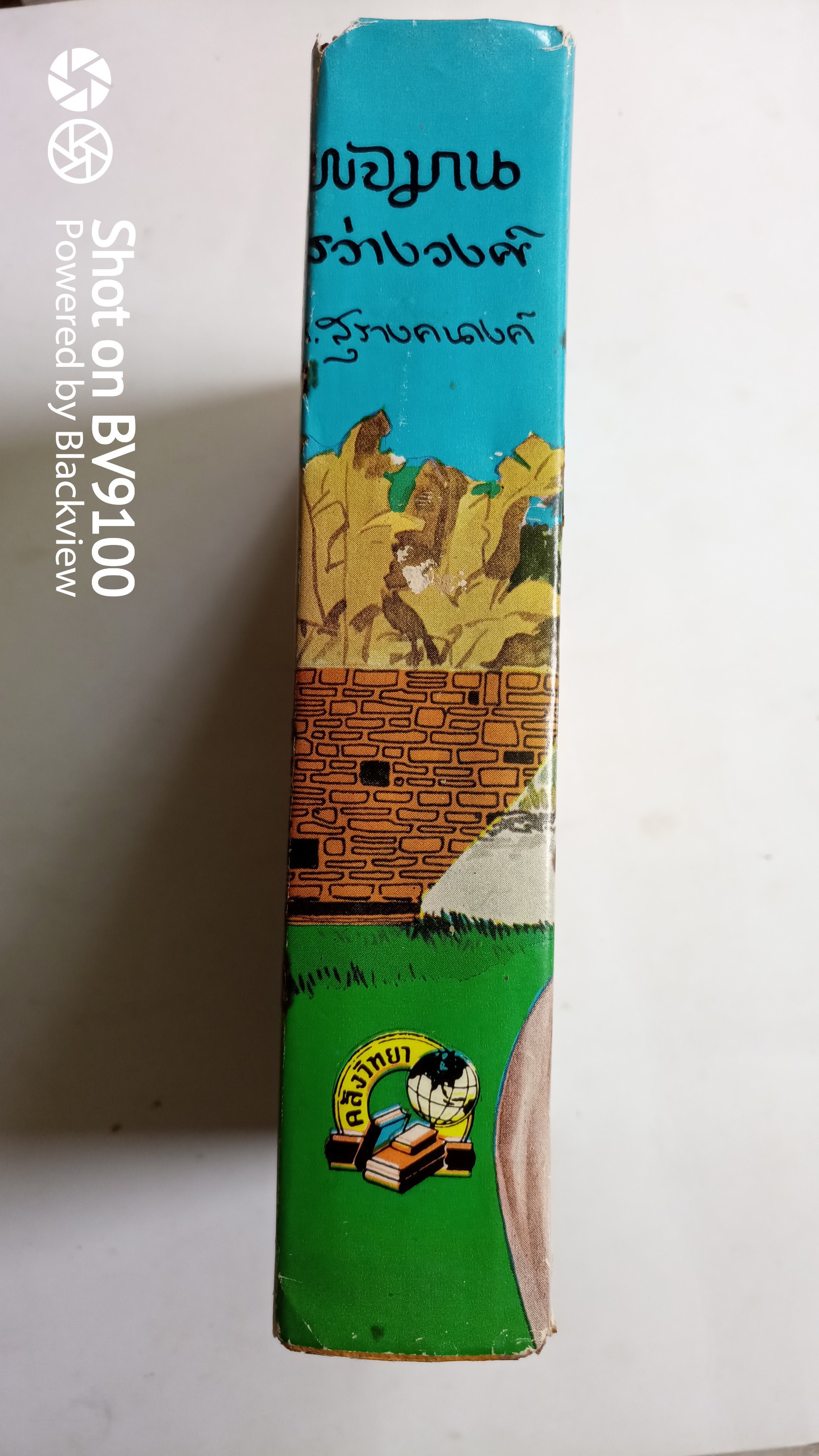 พจมานสว่างวงศ์