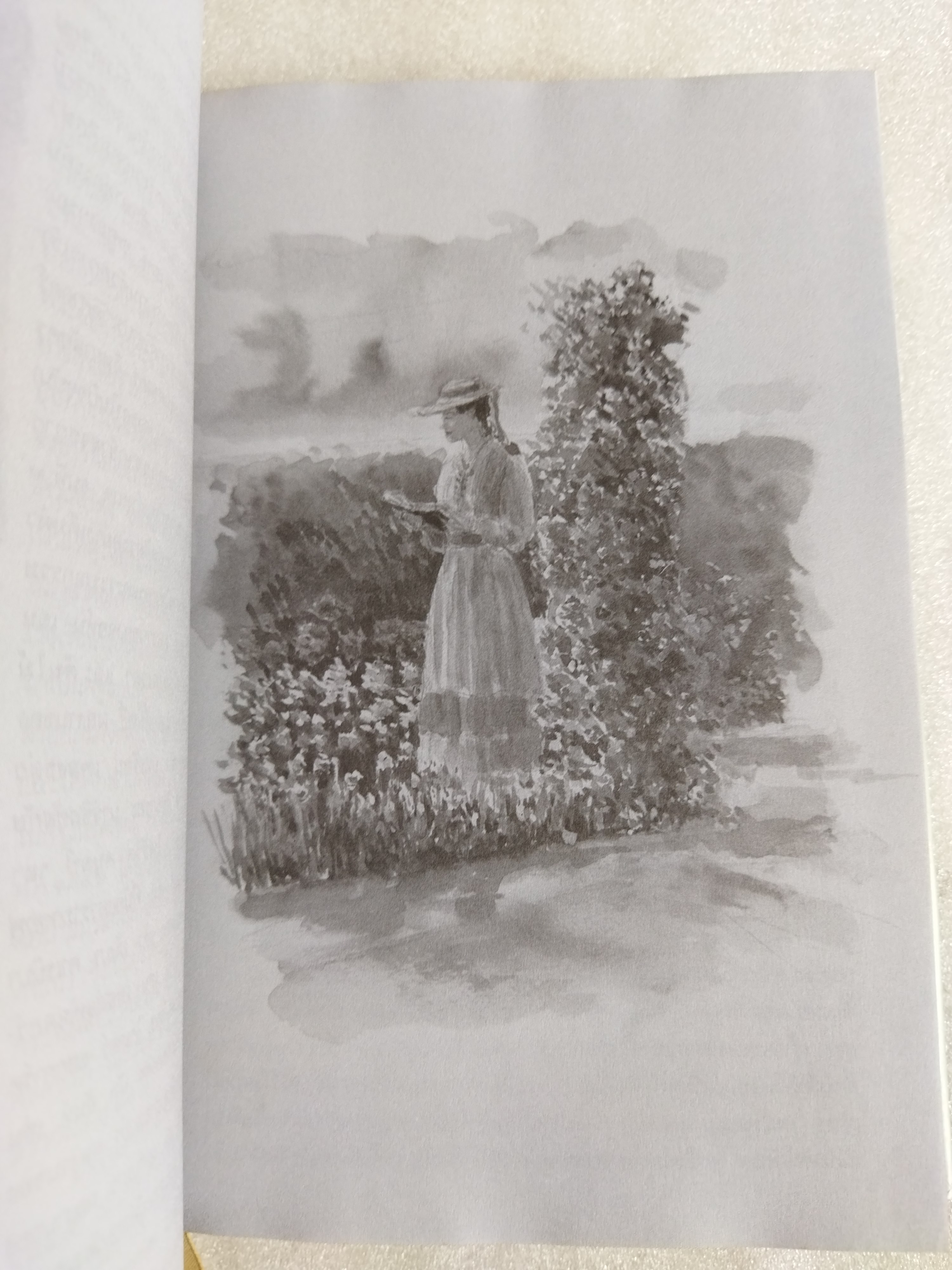 ความรักของเจน แอร์ (Jane Eyre) / ชาร์ล็อตต์ บรอนเต